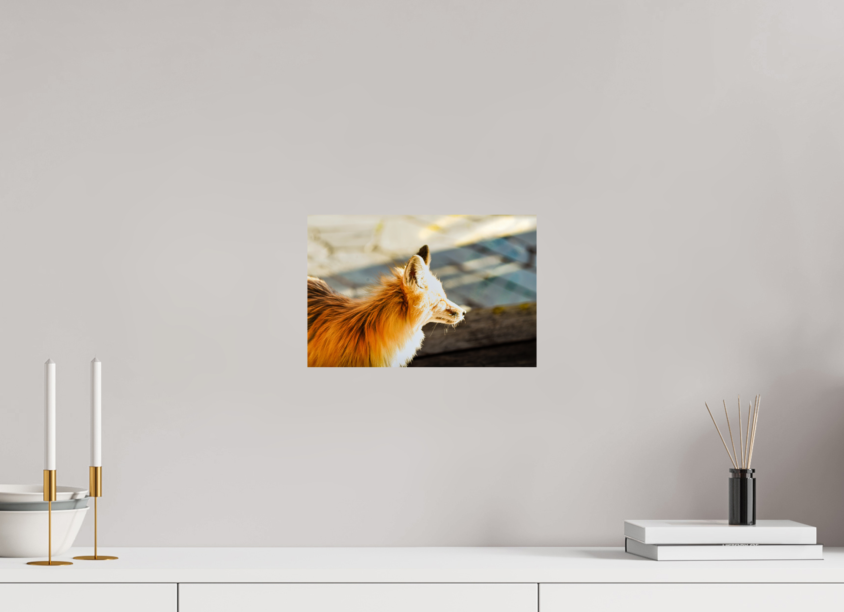 12 x 8″, METAL Fox