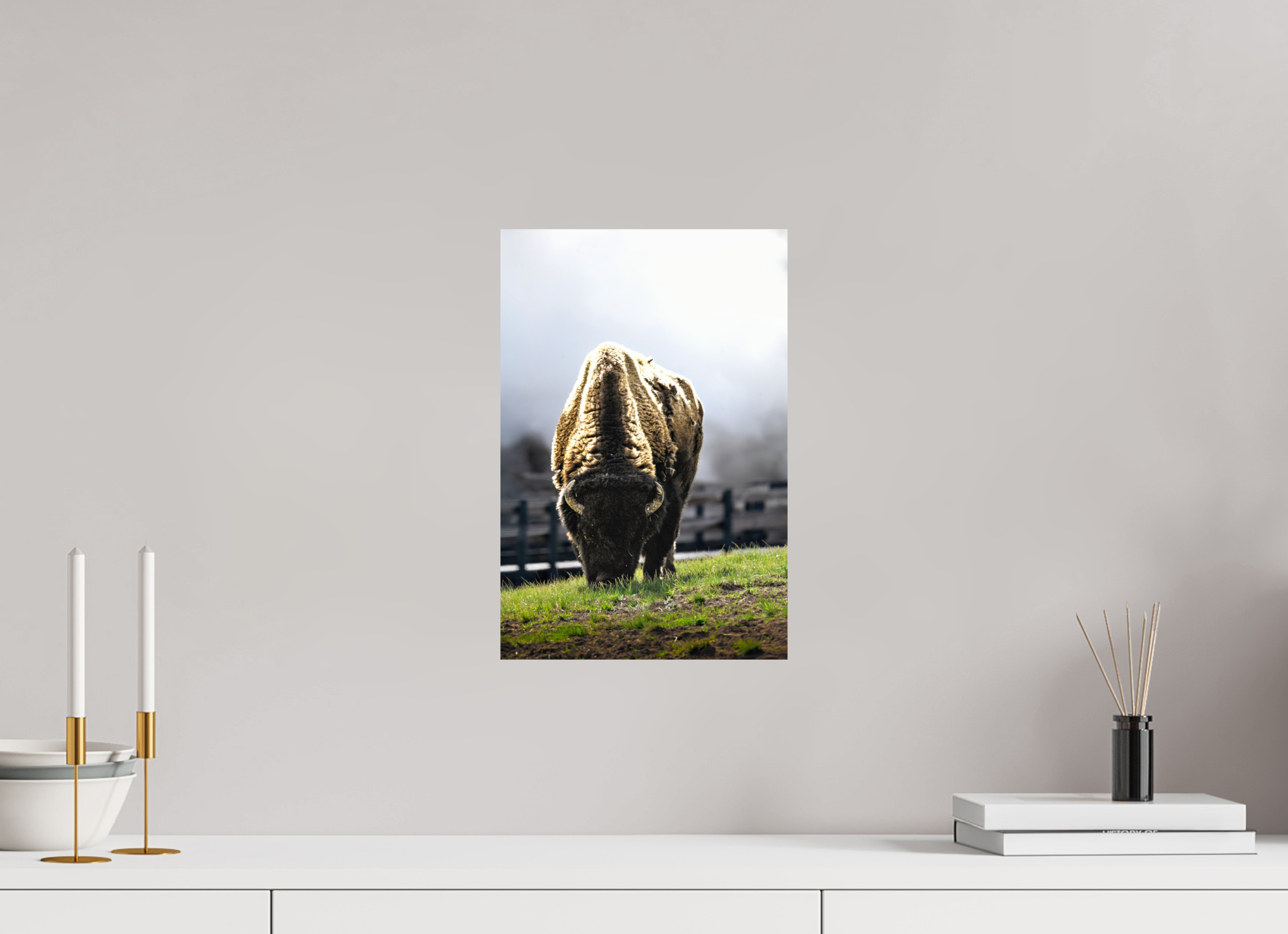10 x 15″, PHOTO PAPER Bison Grazing