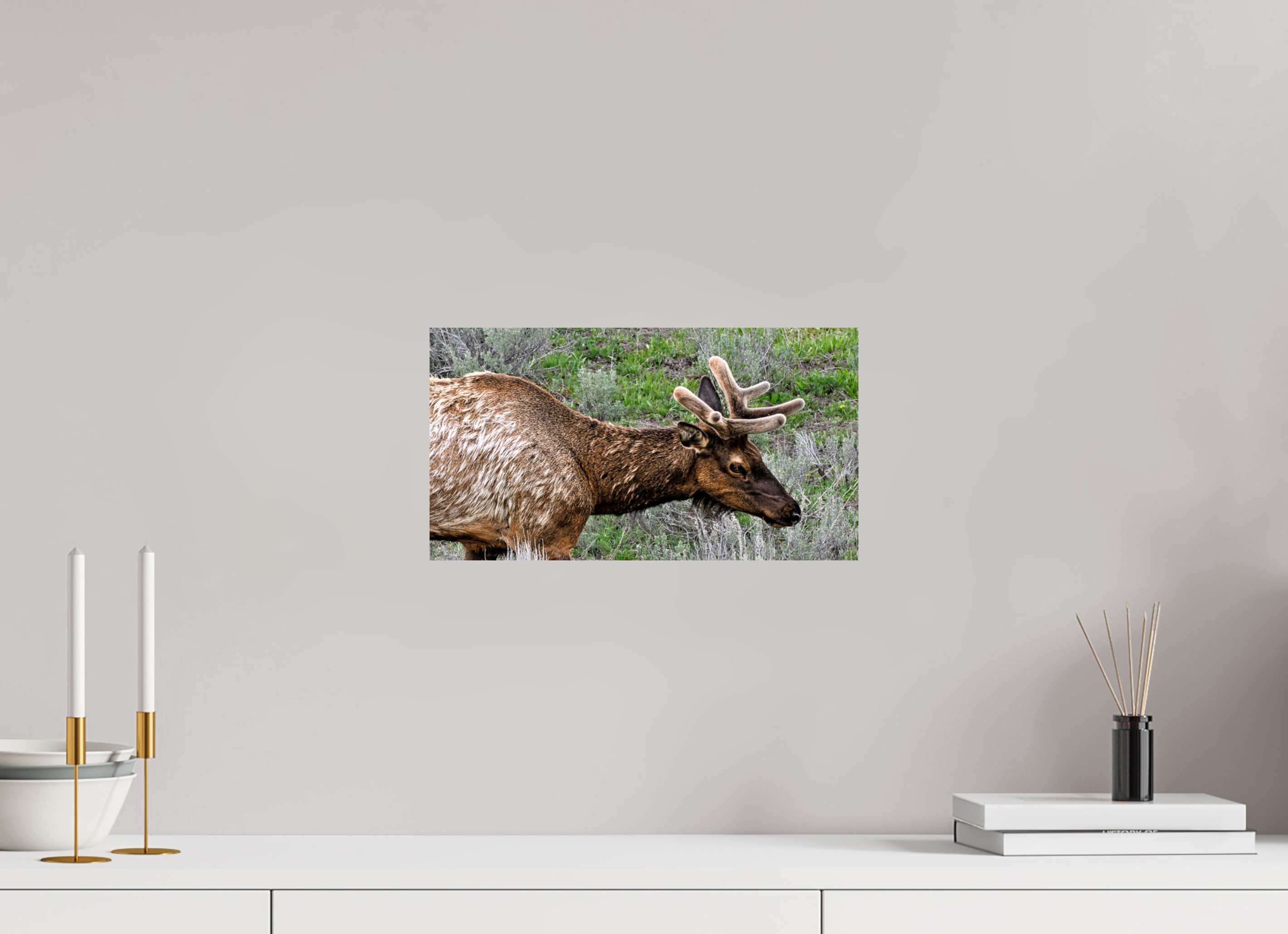 14.7 x 8″, METAL Elk