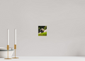 4 x 4.8″, PHOTO PAPER Bison Portrait