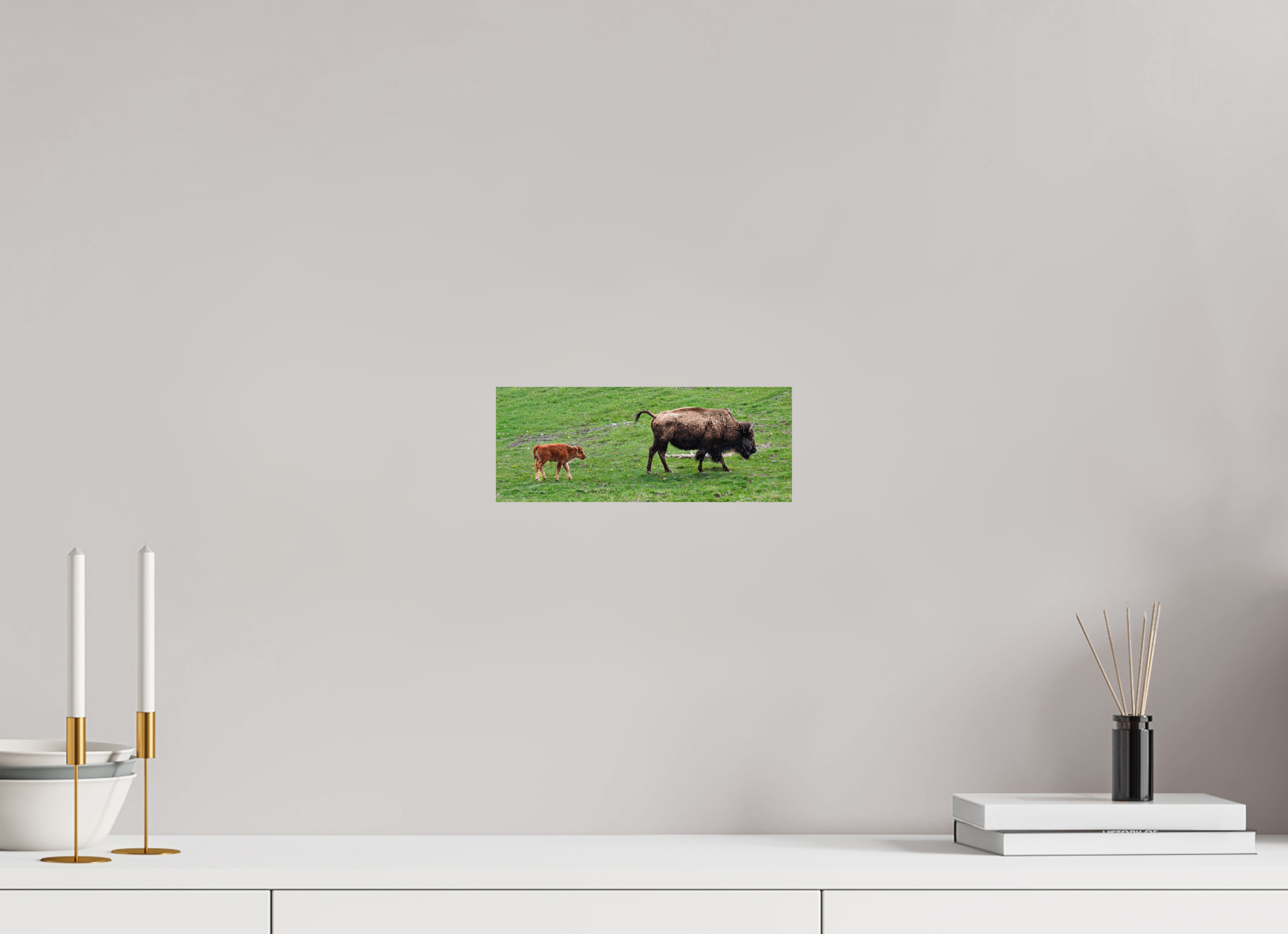 10.3 x 4″, PHOTO PAPER Bison and her Red Dog Following