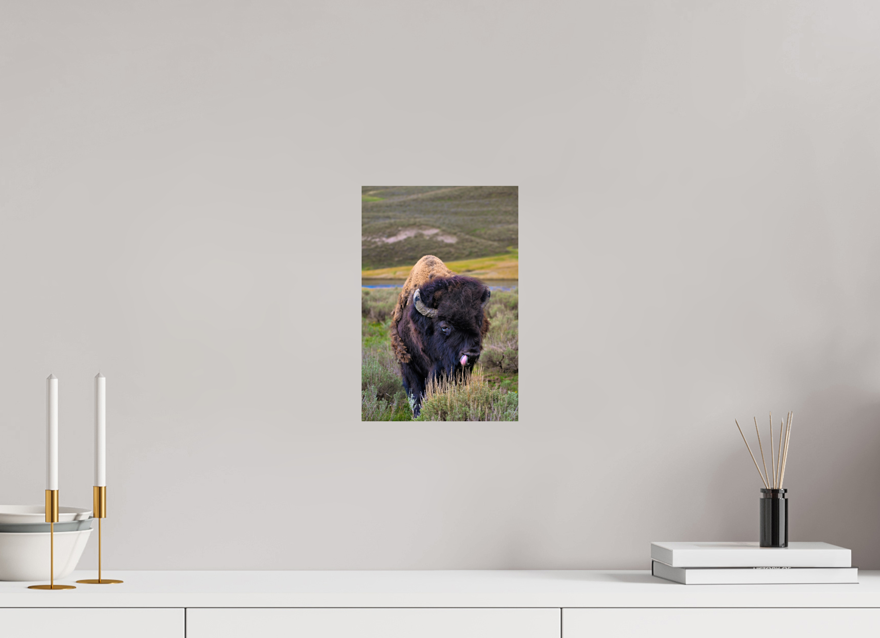 8 x 12″, PHOTO PAPER Bison with Tongue