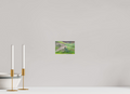 6 x 4″, PHOTO PAPER Bear