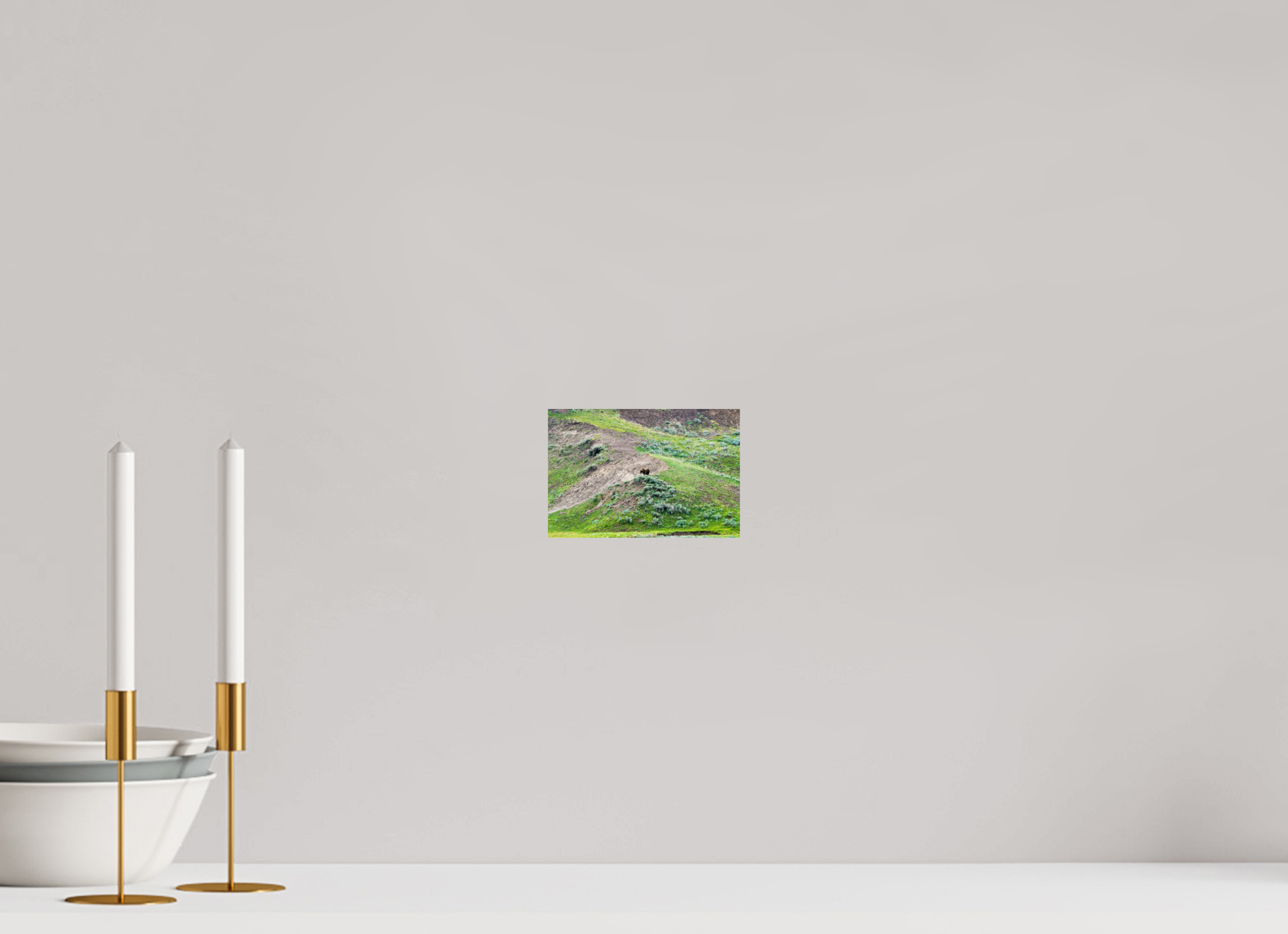 6 x 4″, PHOTO PAPER Bear