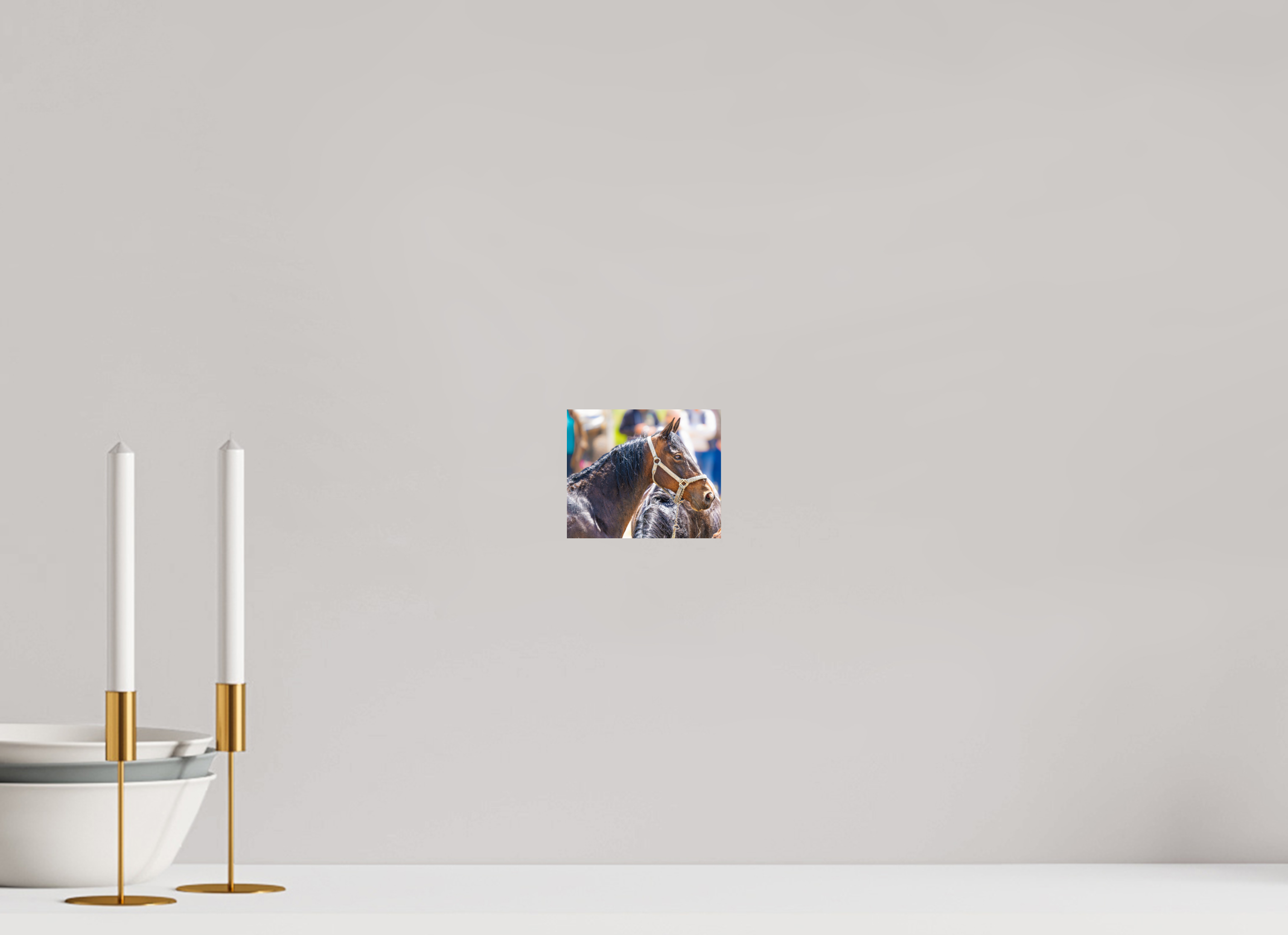 4.8 x 4″, PHOTO PAPER Pack Horse Portrait 14 Web Exclusive