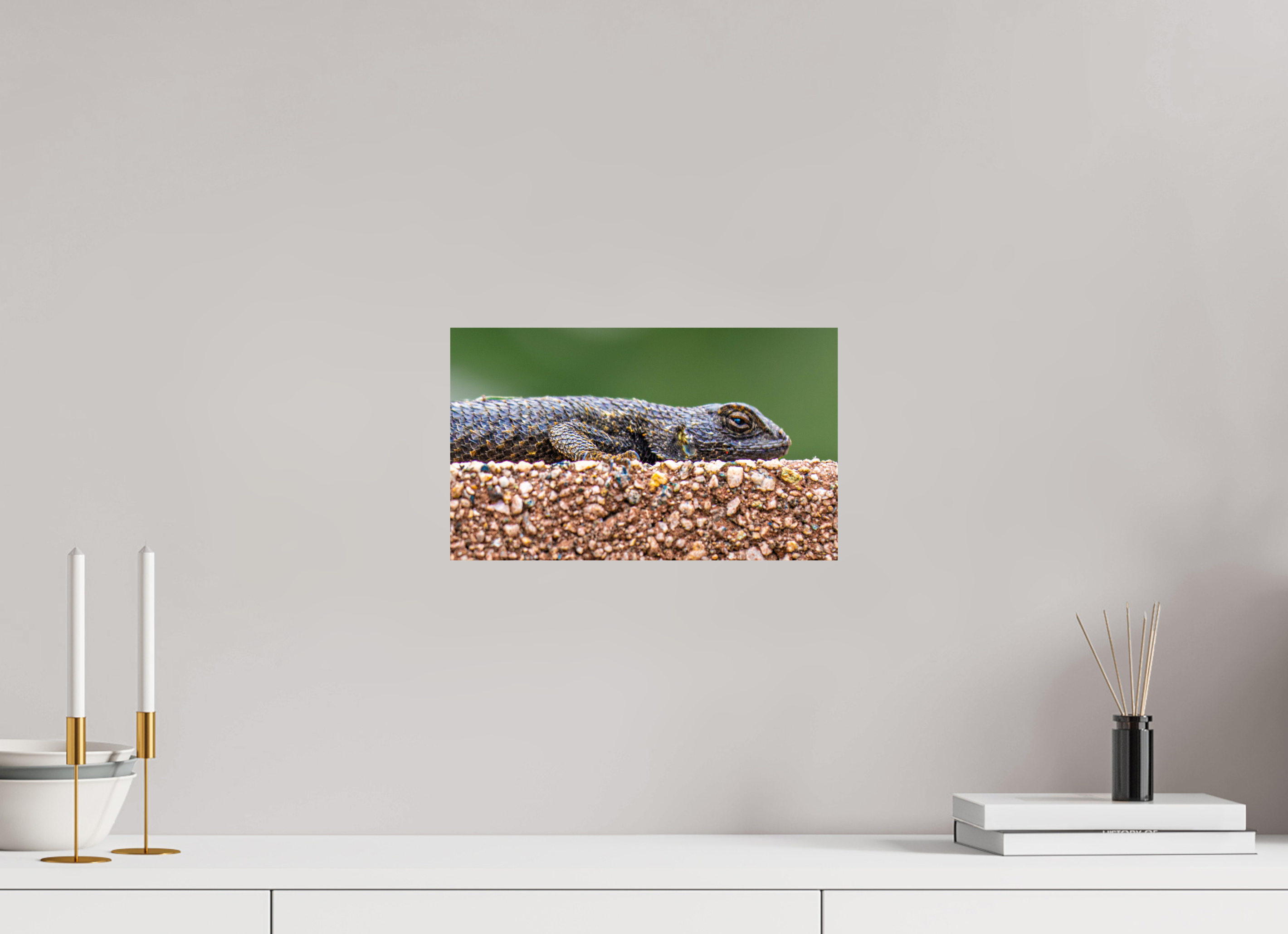 13.3 x 8″, METAL Lizard
