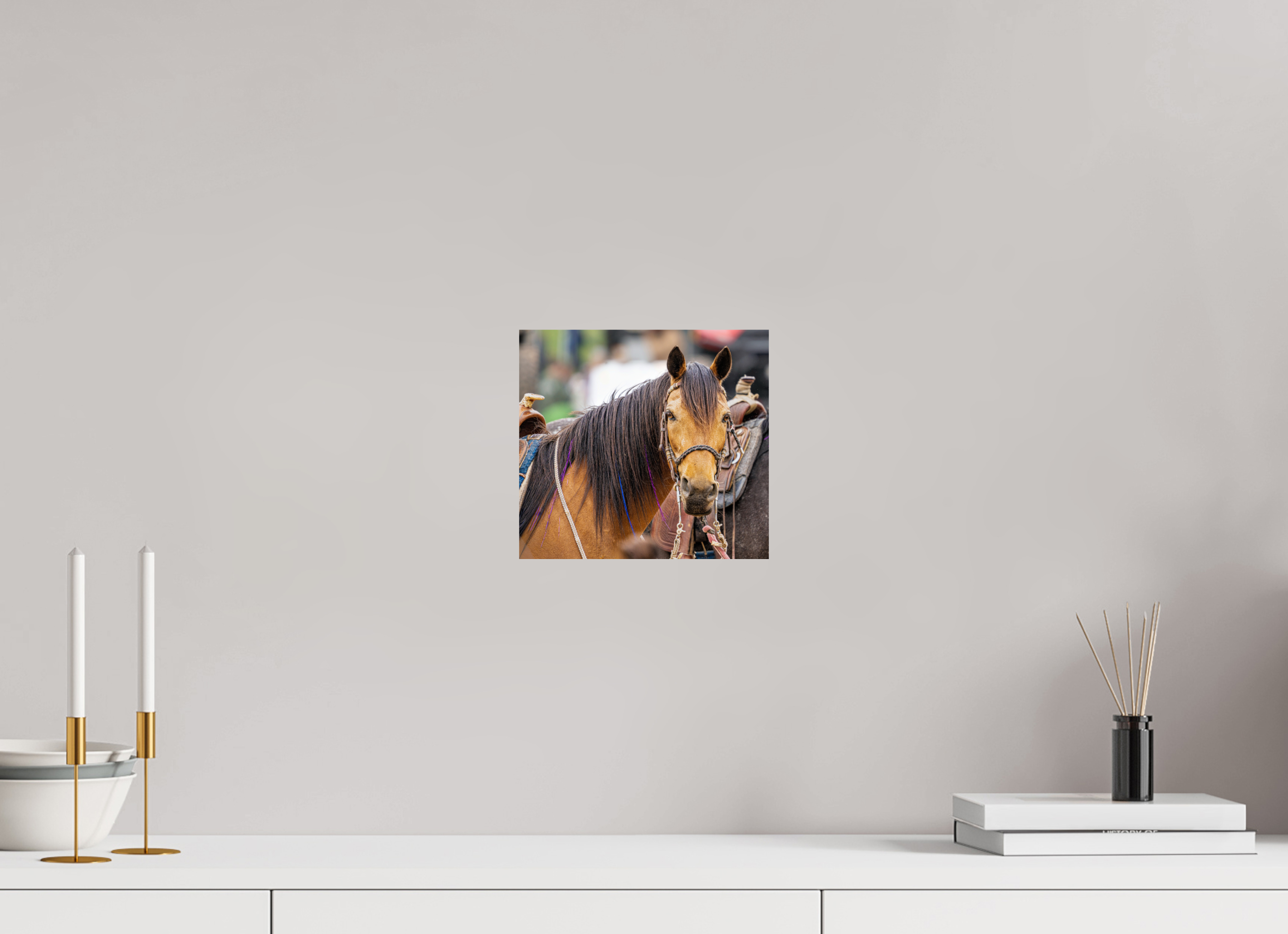 8.7 x 8″, PHOTO PAPER Pack Horse Portrait 11 Web Exclusive