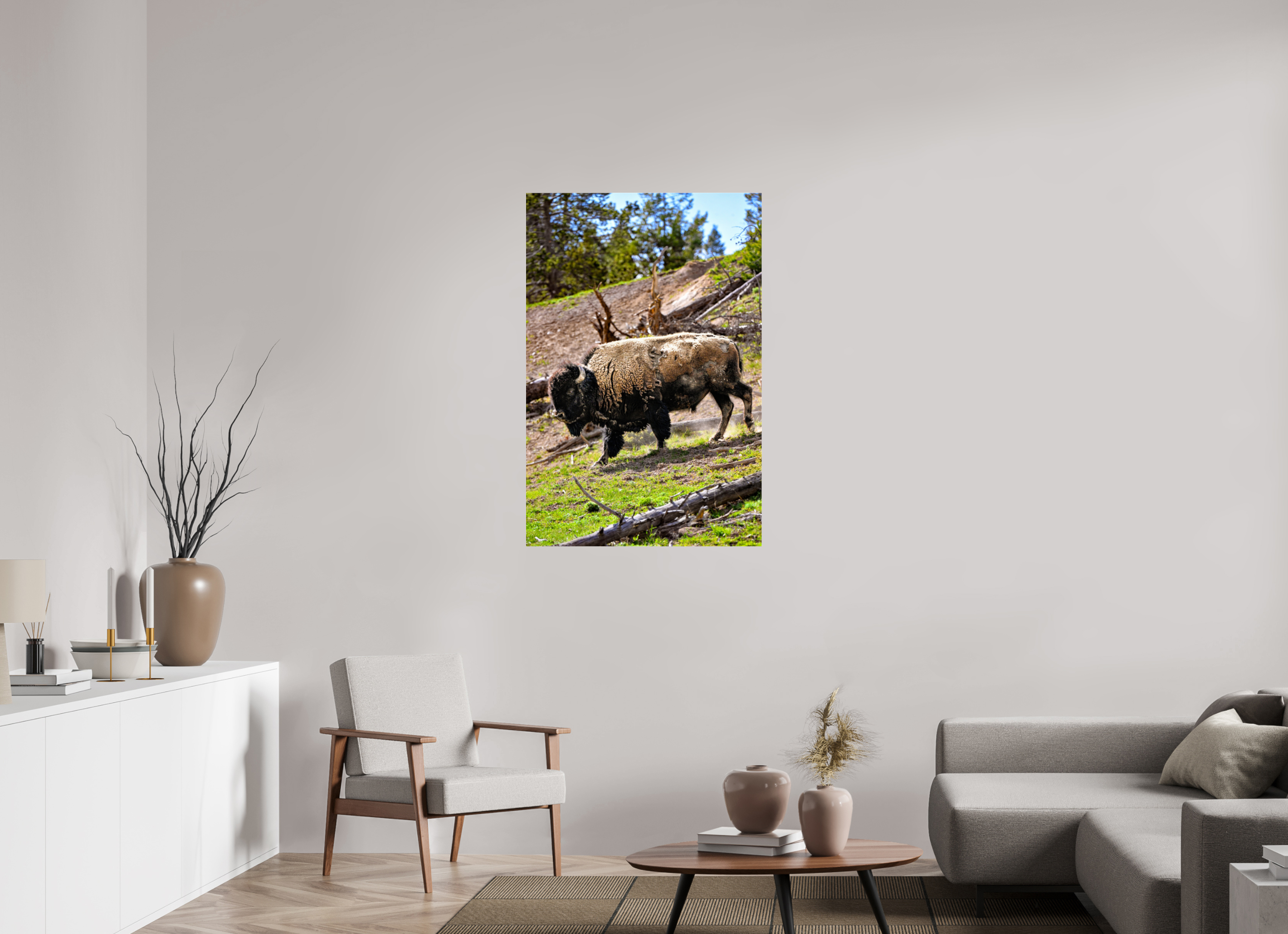 30 x 45″, ACRYLIC Bison Walking