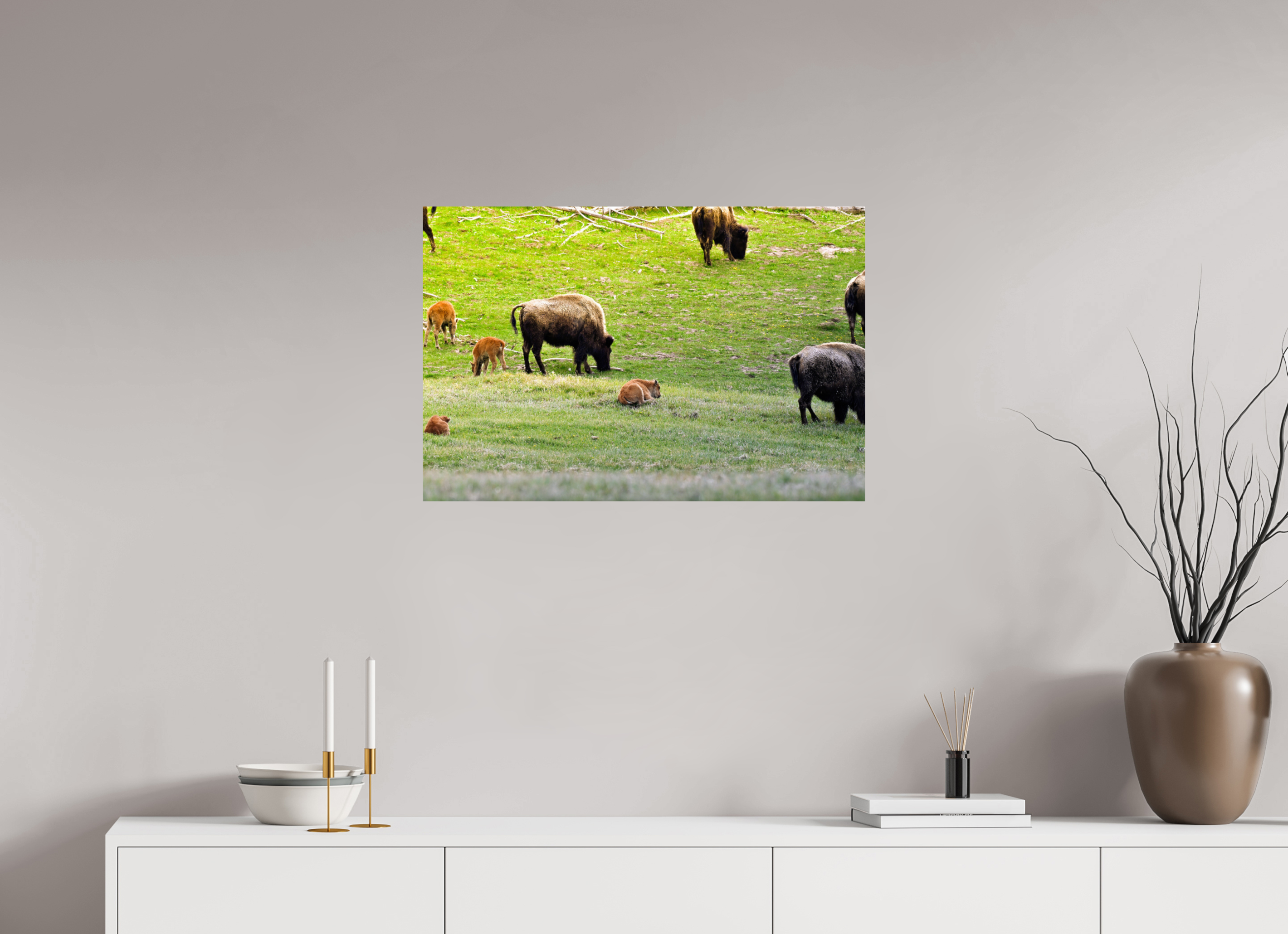 30 x 20″, PHOTO PAPER Bison Herd