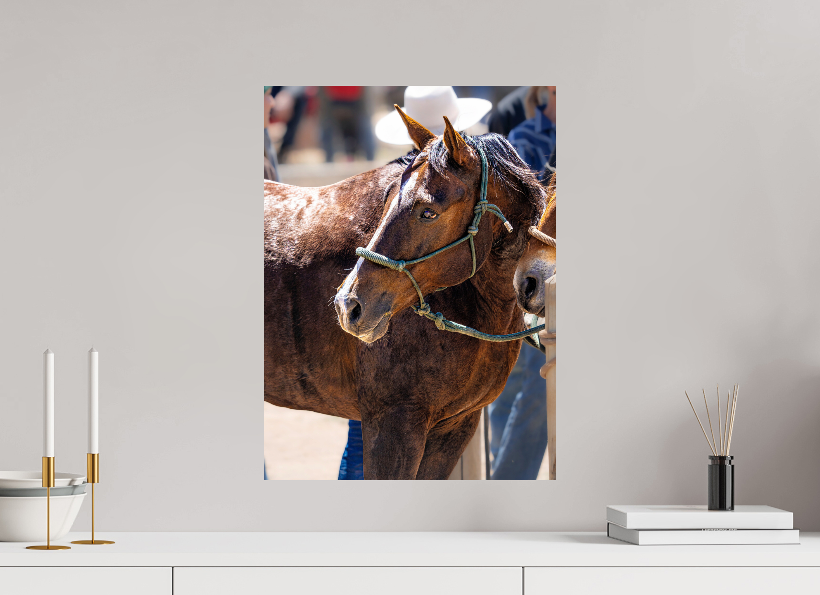16 x 21.6″, PHOTO PAPER Pack Horse Portrait 4