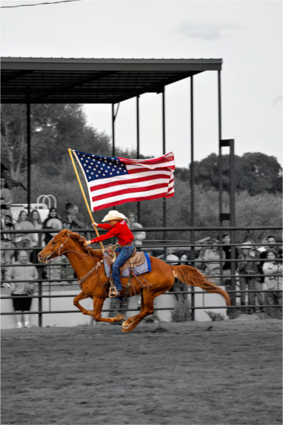 Main image America 250 Flag Rider 8