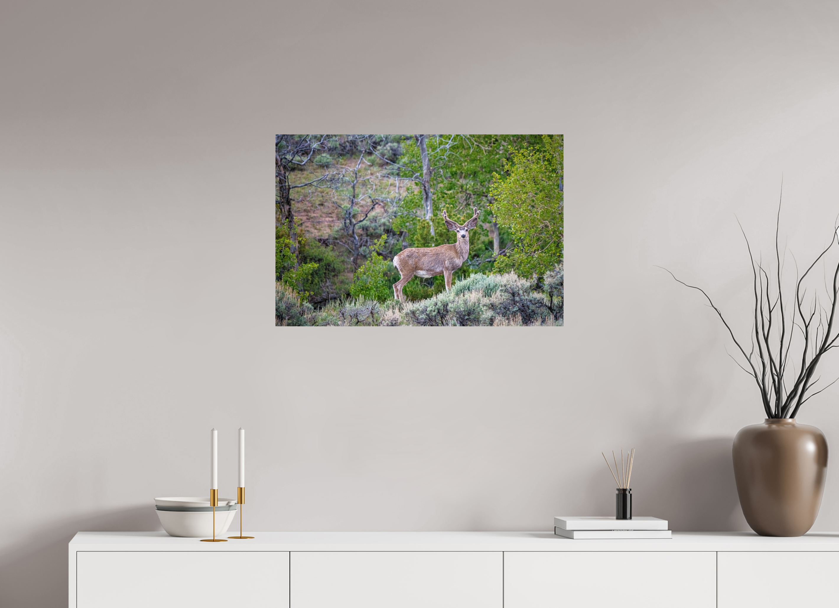 30 x 20″, PHOTO PAPER Deer
