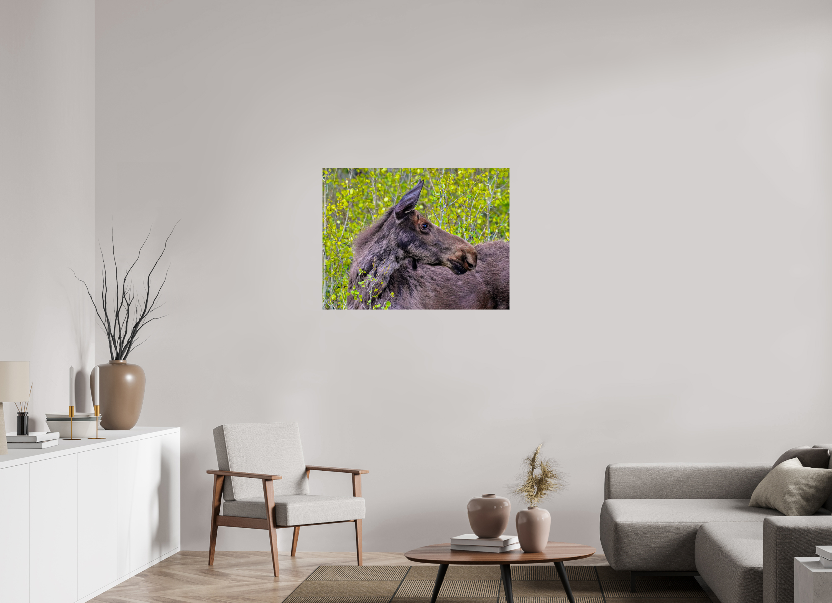 37 x 28″, PHOTO PAPER Moose Close up