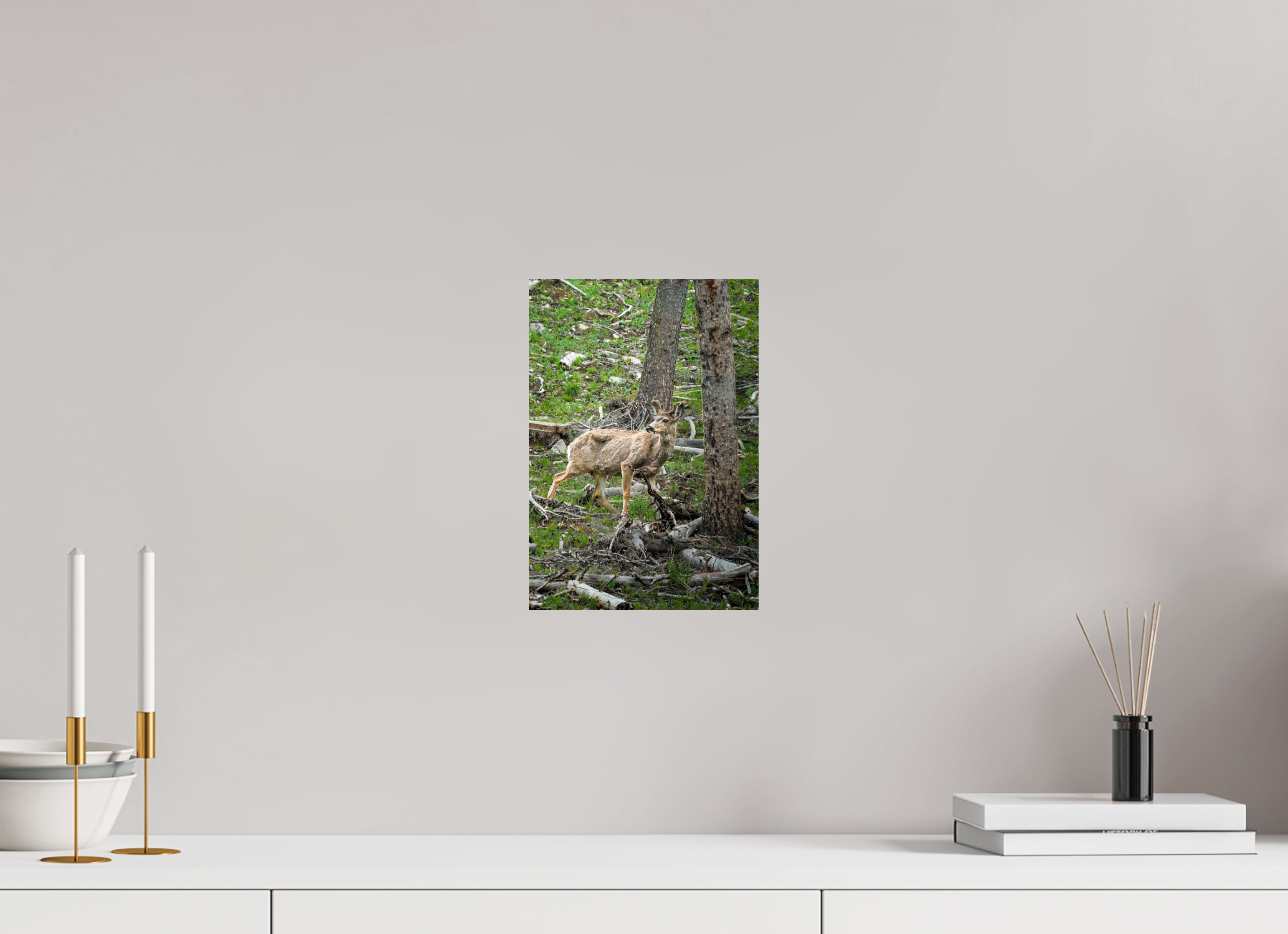 8 x 11.5″, PHOTO PAPER Deer
