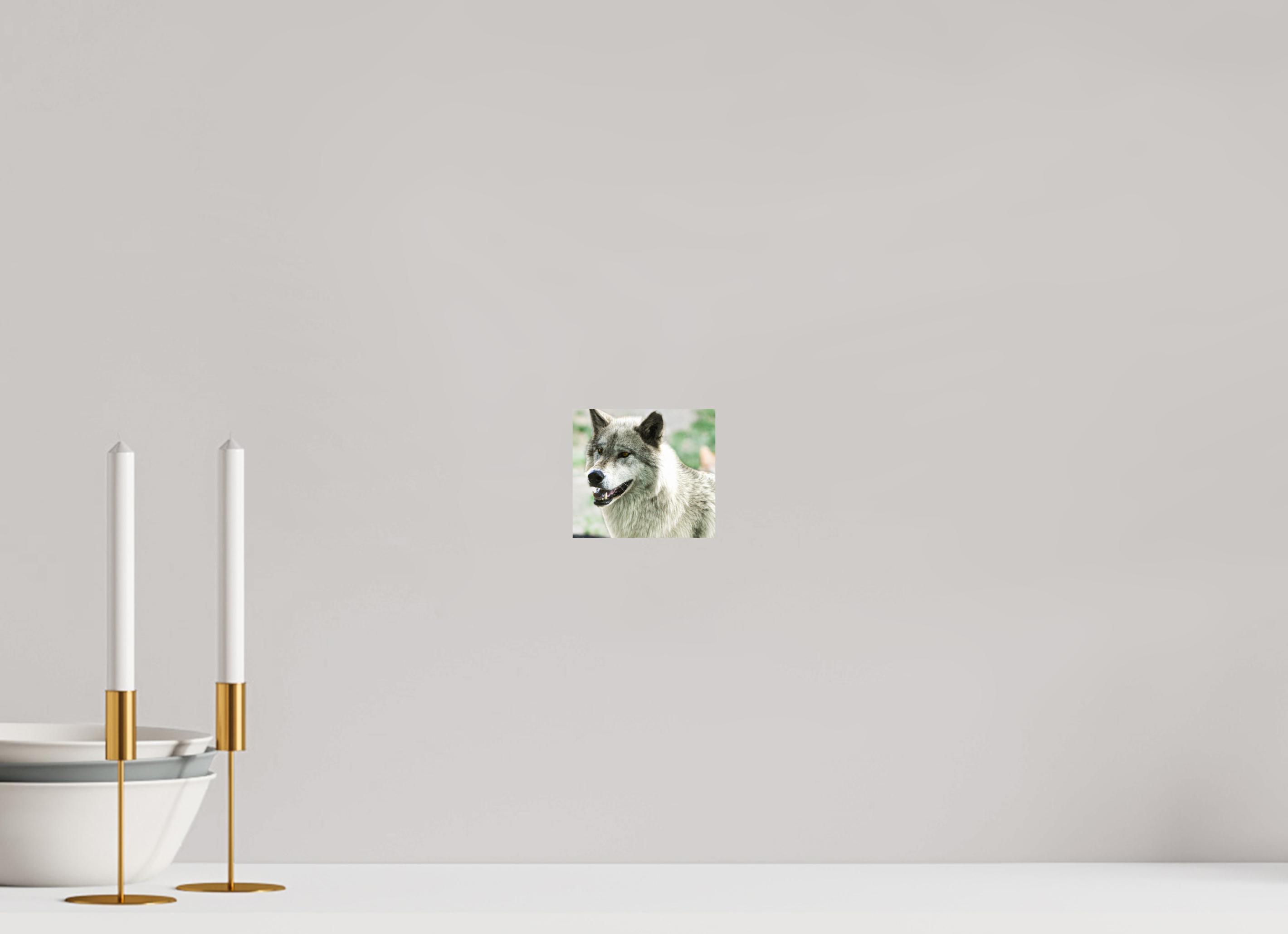 4.4 x 4″, PHOTO PAPER Wolf Portrait