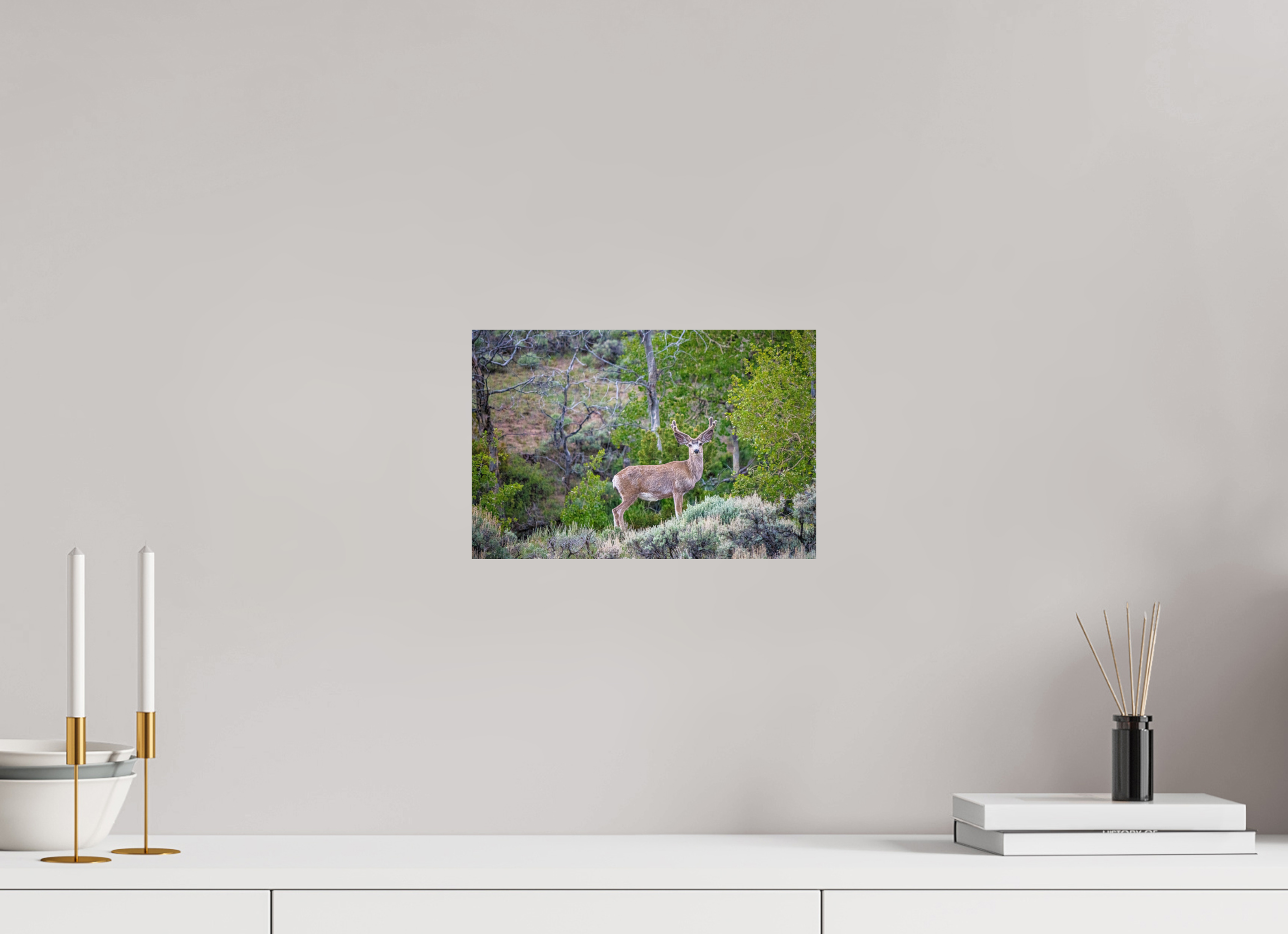 12 x 8″, PHOTO PAPER Deer