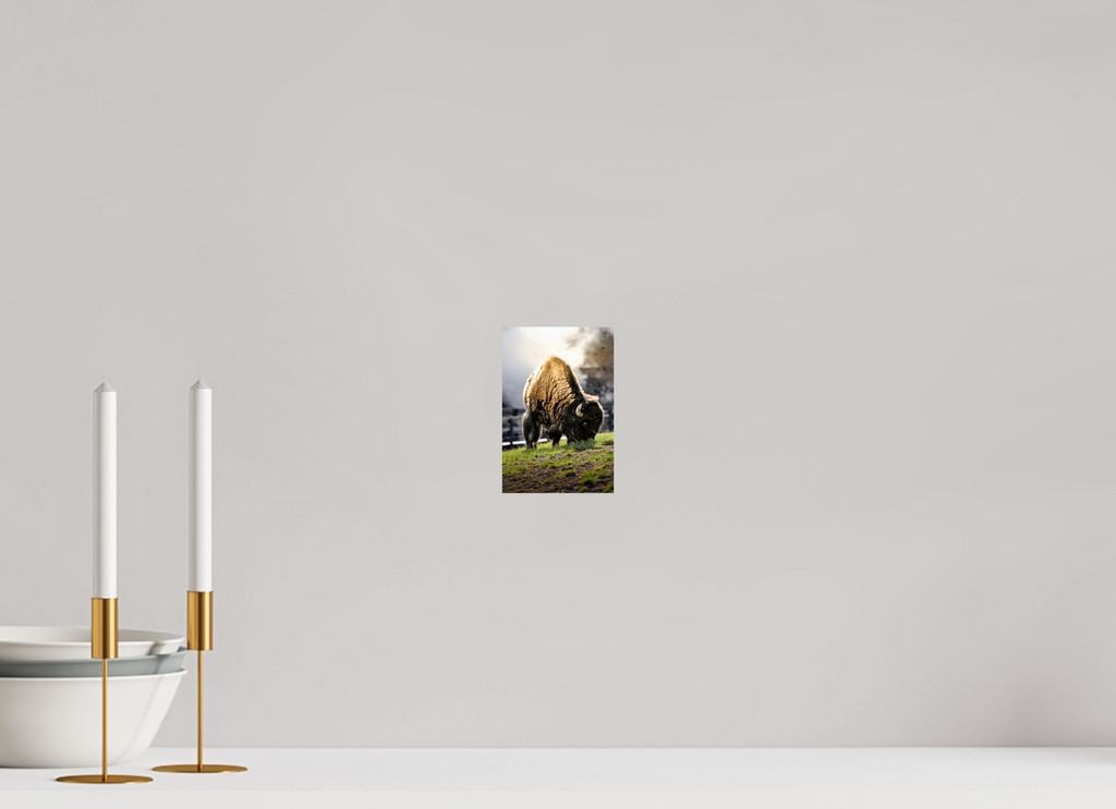4 x 6″, PHOTO PAPER Bison Grazing
