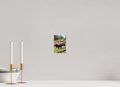 4 x 6″, PHOTO PAPER Bison Walking