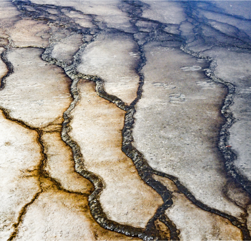 Main image Yellowstone
