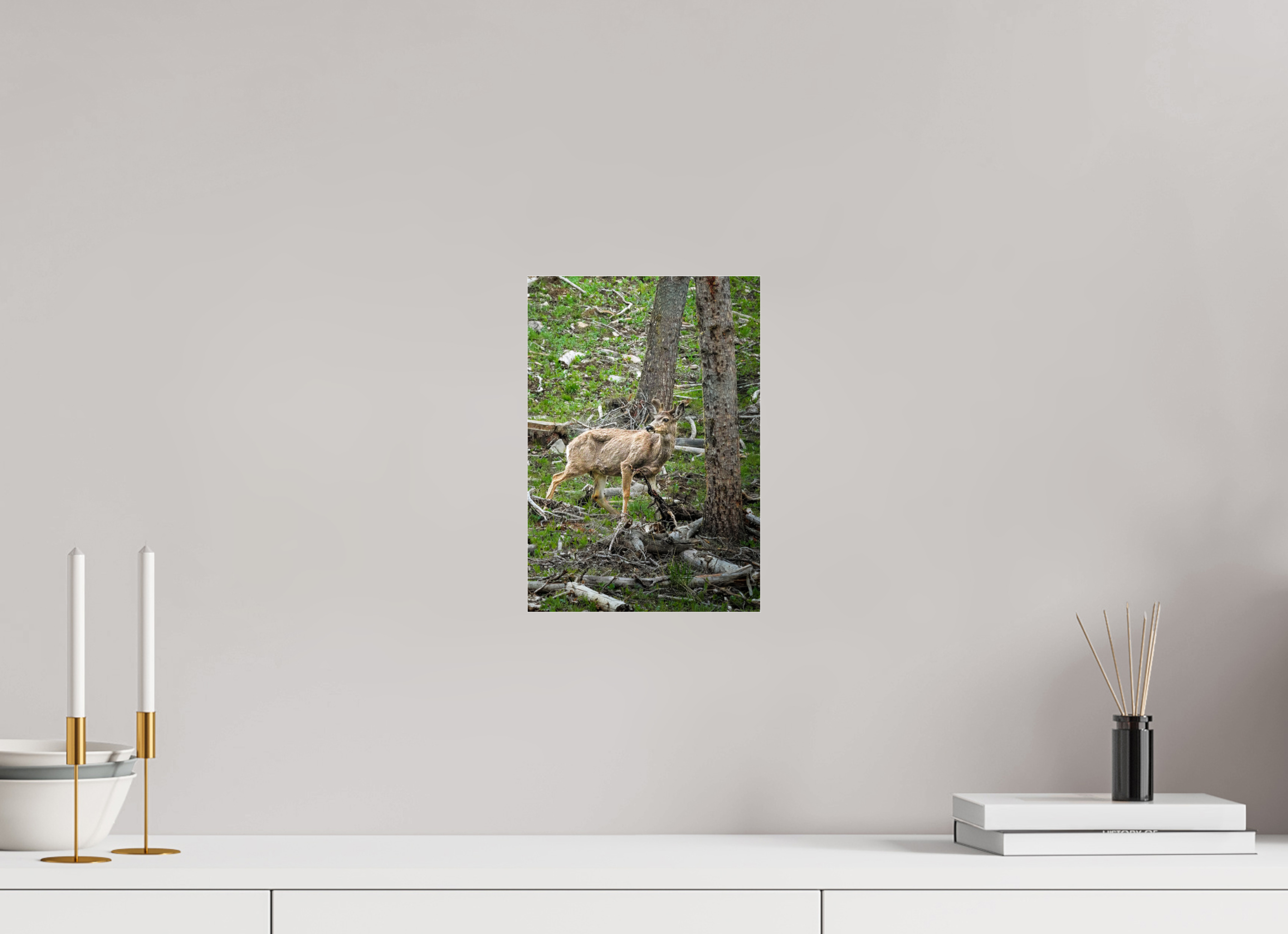 8 x 11.5″, ACRYLIC Deer