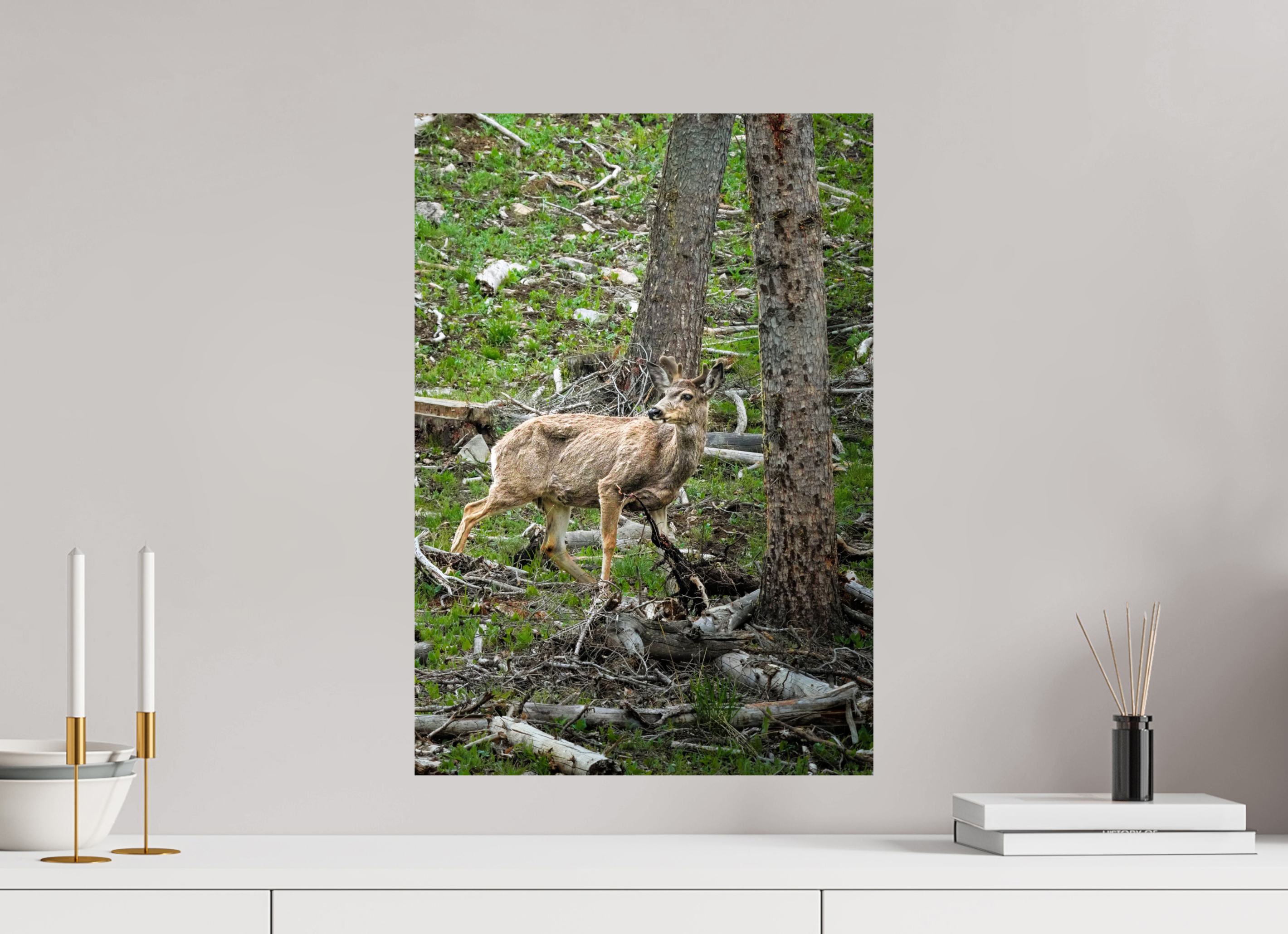 16 x 23.1″, PHOTO PAPER Deer