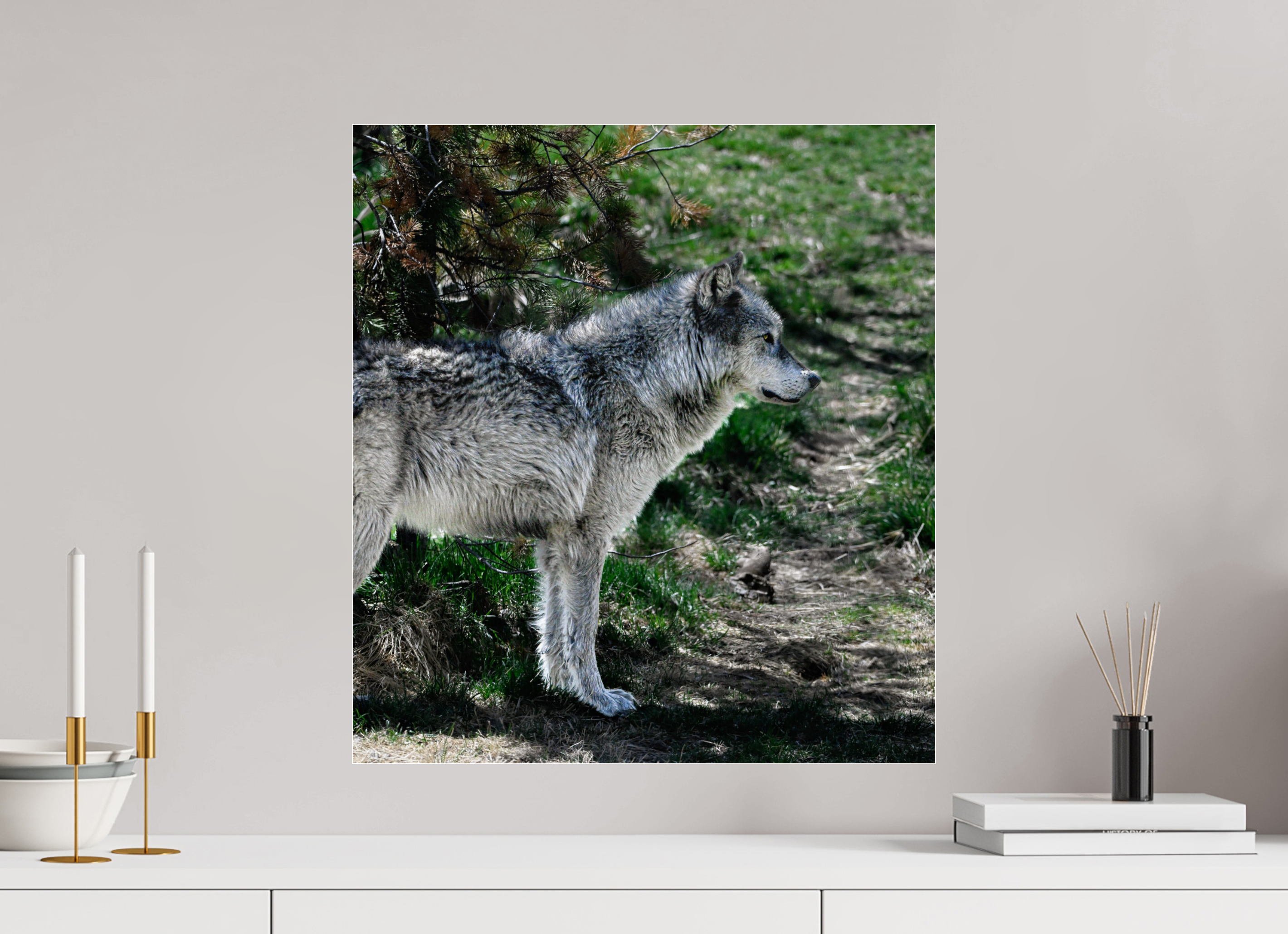 20 x 21.9″, ACRYLIC Wolf Standing