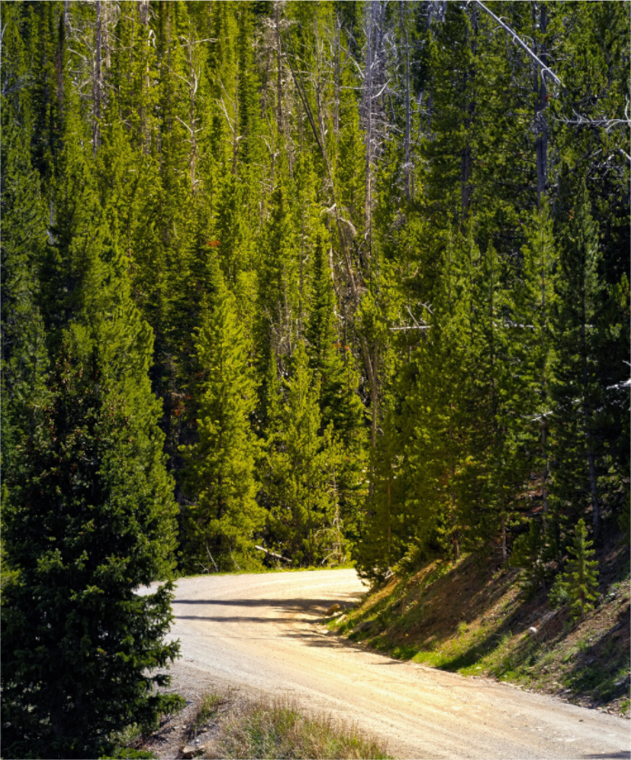 Main image Wyoming