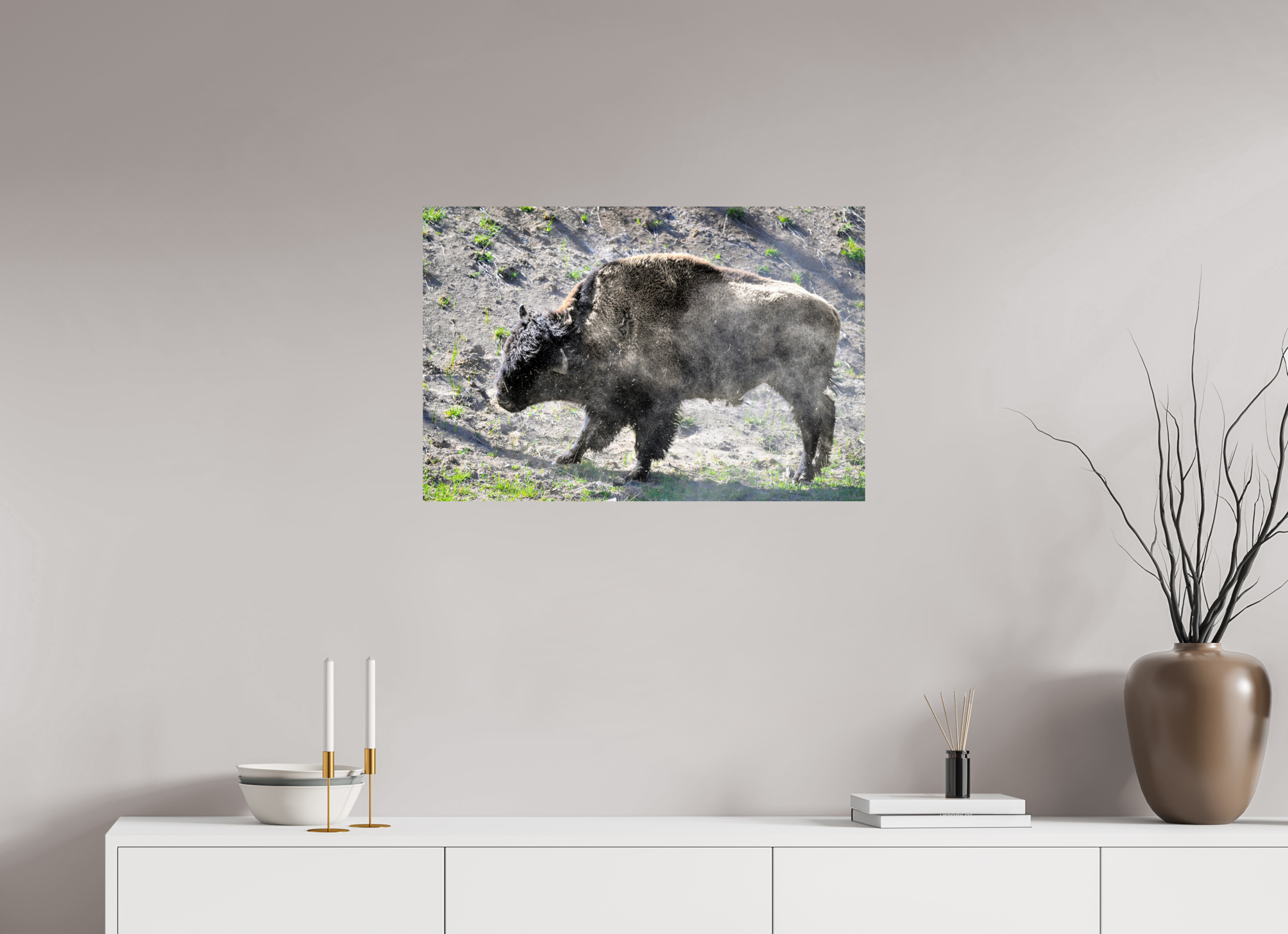 30 x 20″, PHOTO PAPER Bison Shake