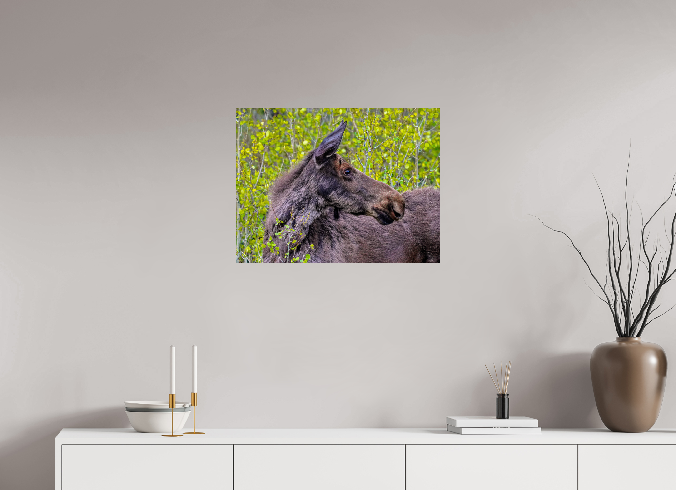 26.4 x 20″, PHOTO PAPER Moose Close up