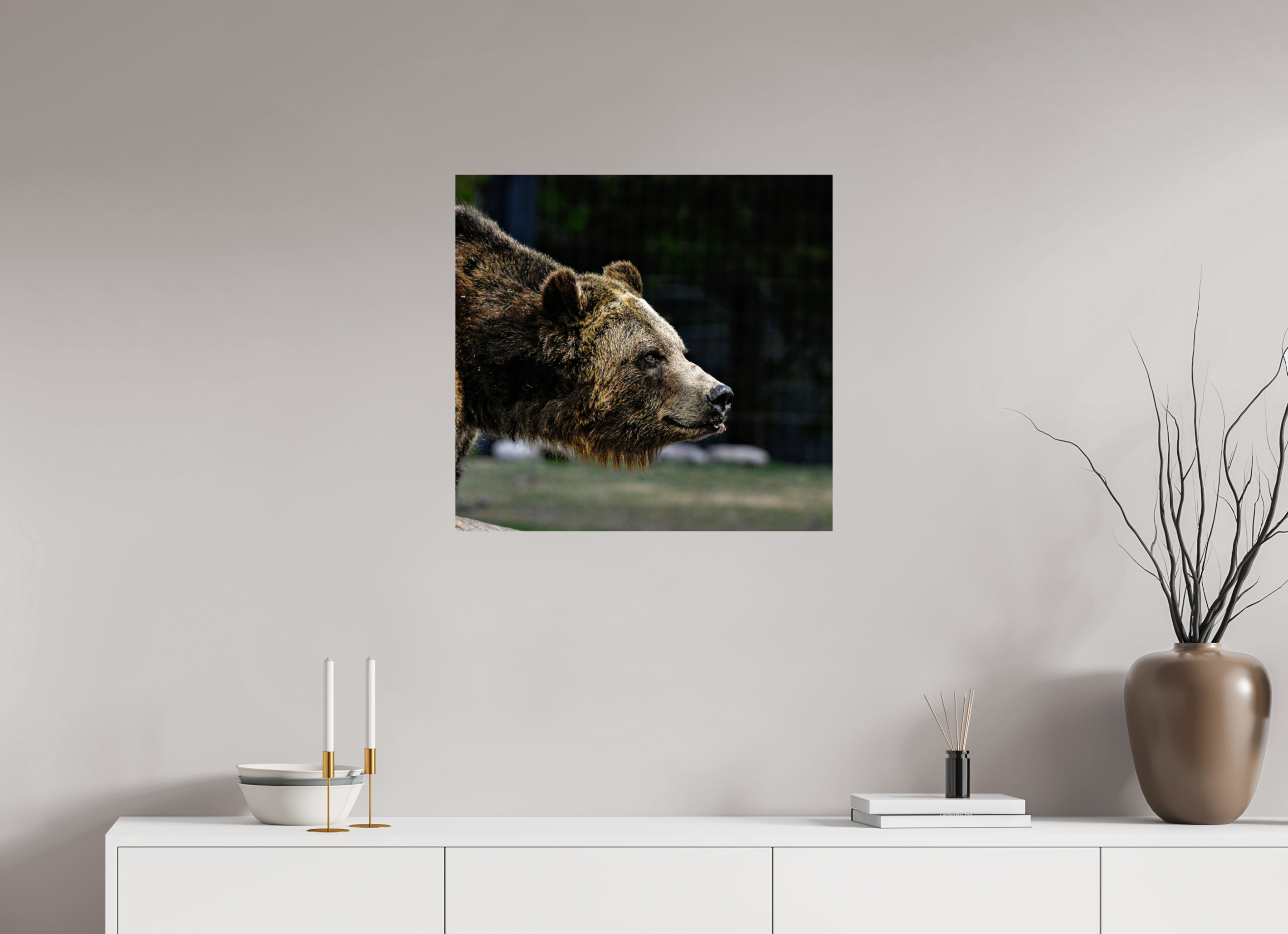 25.4 x 24″, METAL Bear Close Up