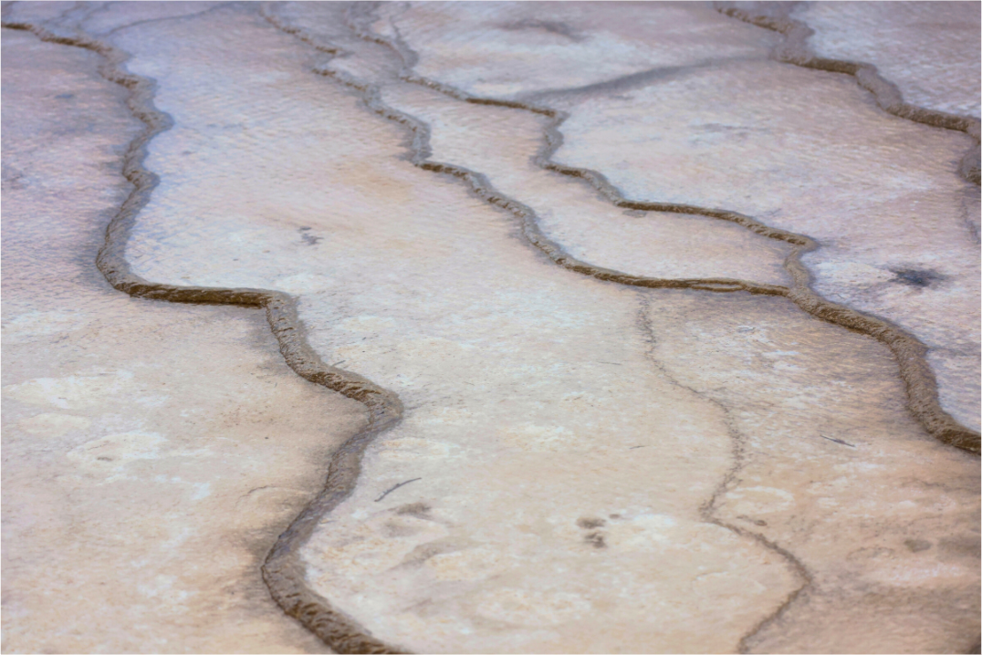Main image Yellowstone