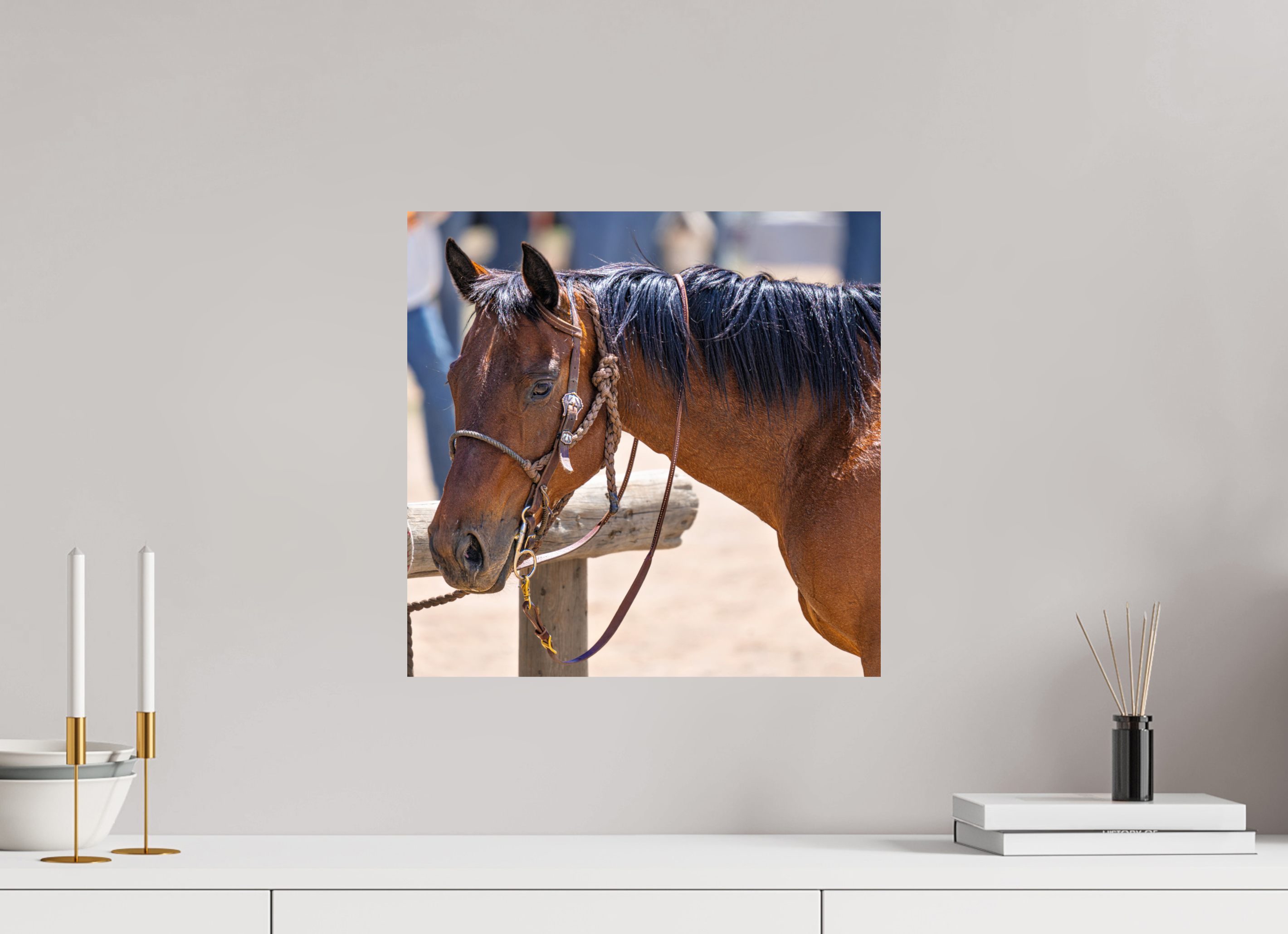 16.3 x 16″, METAL Pack Horse Portrait 15 Web Exclusive
