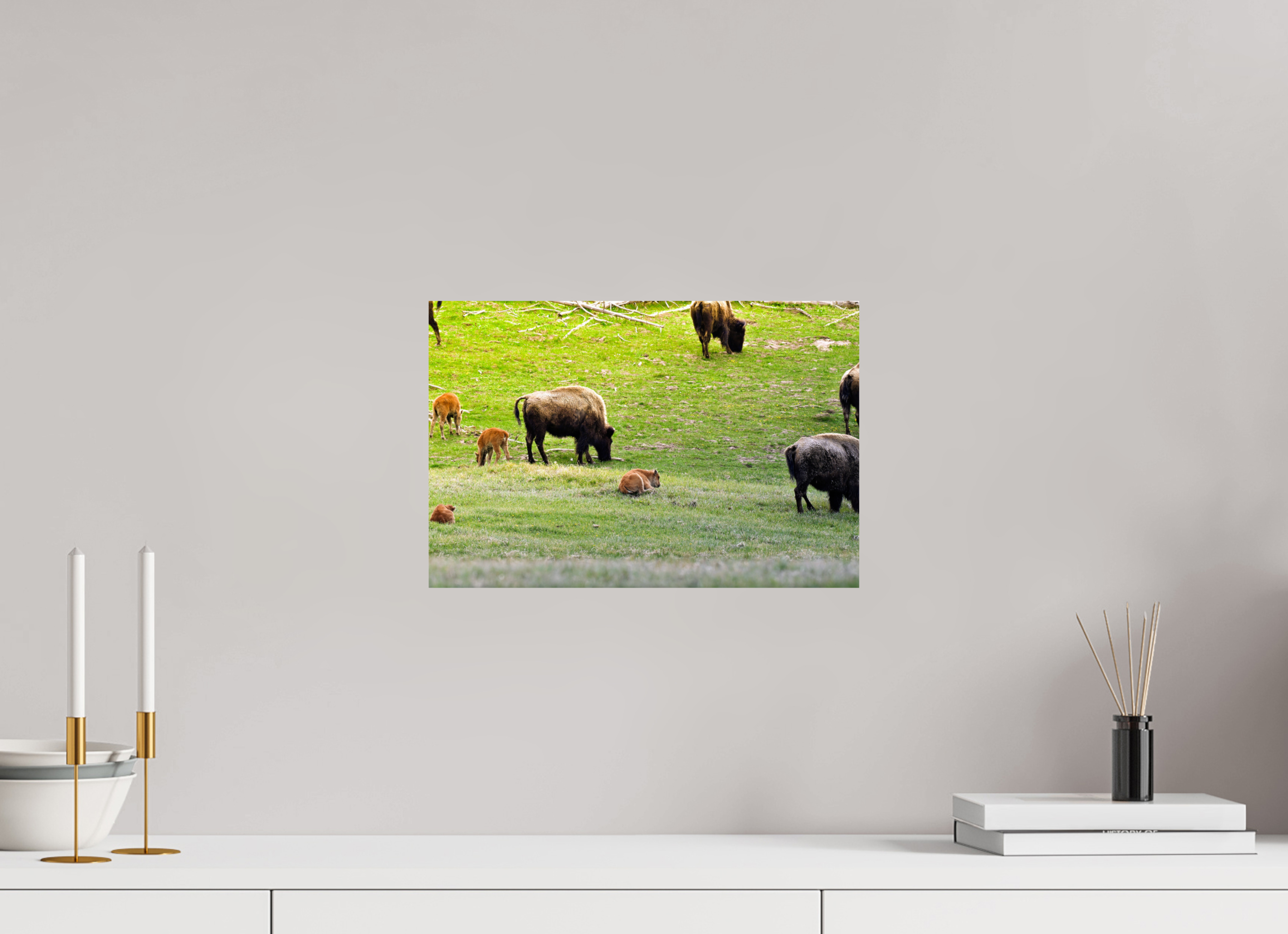 15 x 10″, PHOTO PAPER Bison Herd