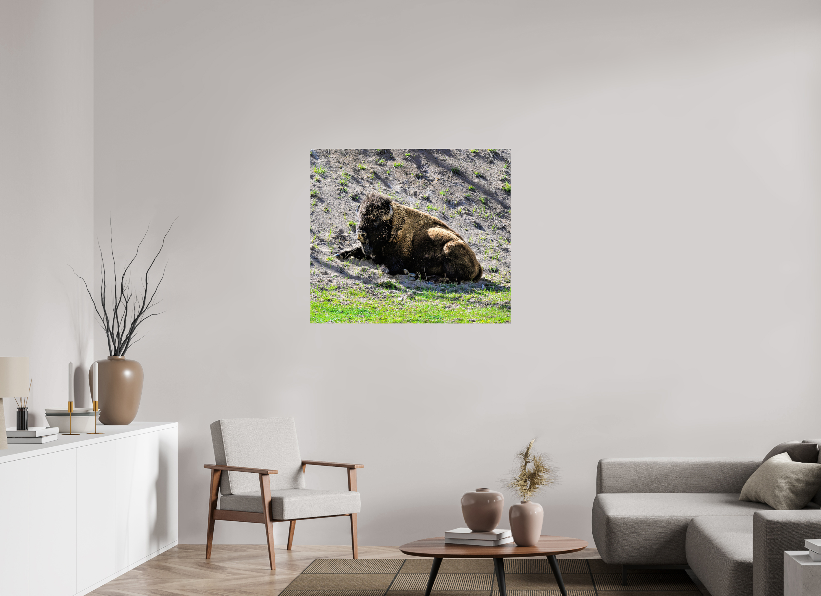 40.2 x 35″, PHOTO PAPER Bison Laying Down