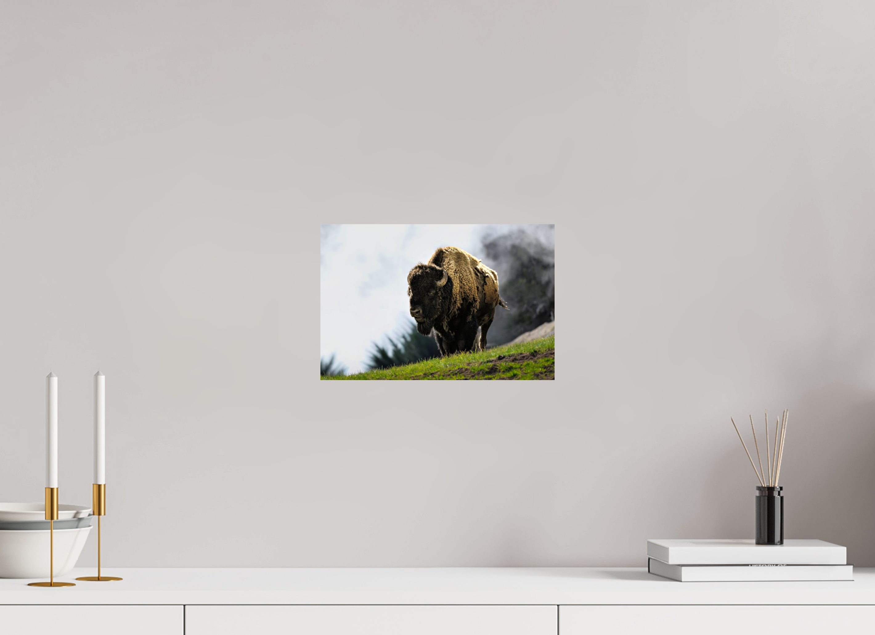 12 x 8″, PHOTO PAPER Bison