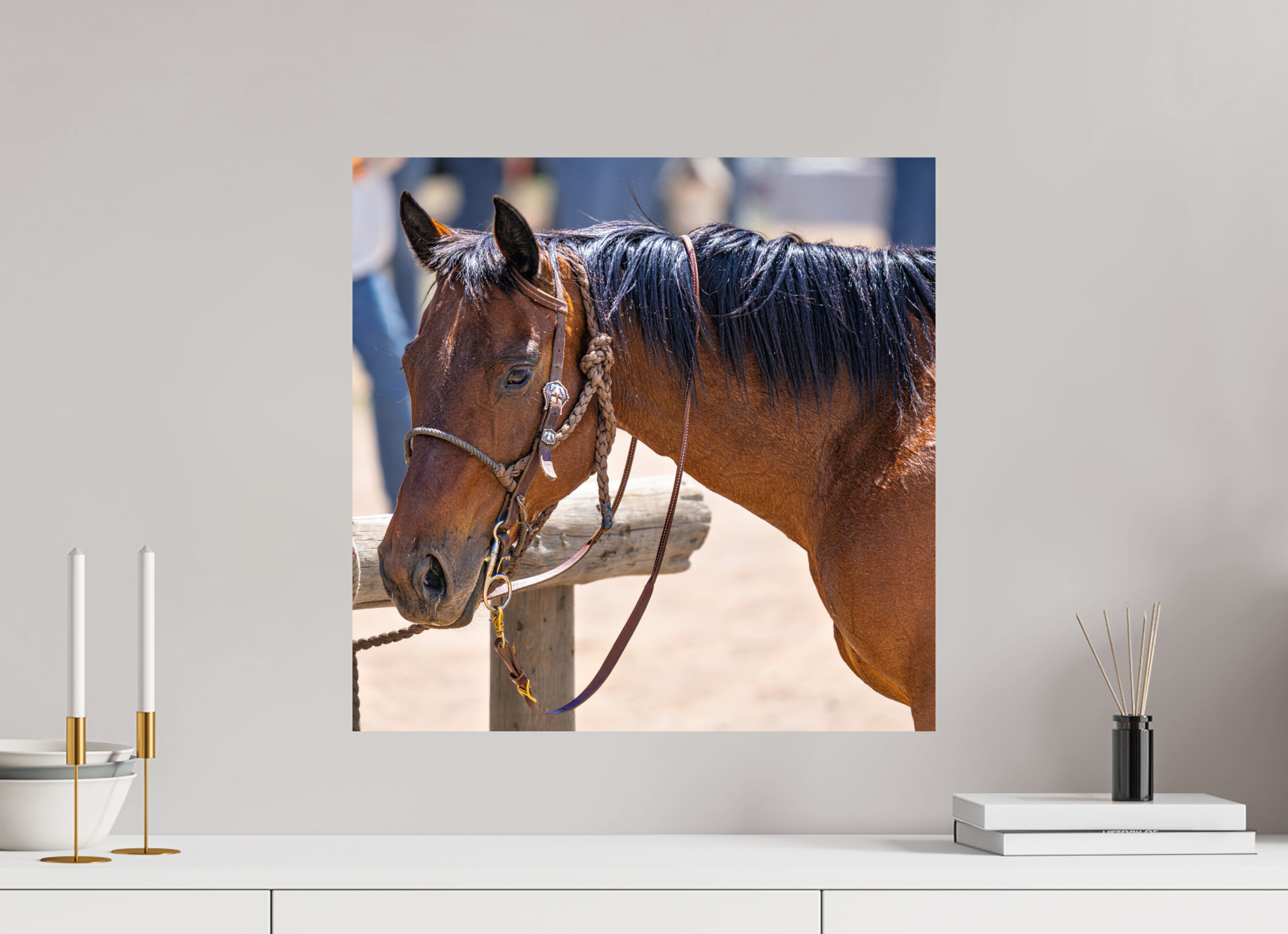 20.3 x 20″, PHOTO PAPER Pack Horse Portrait 15 Web Exclusive