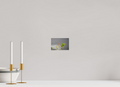 6 x 4″, PHOTO PAPER Green Leaves
