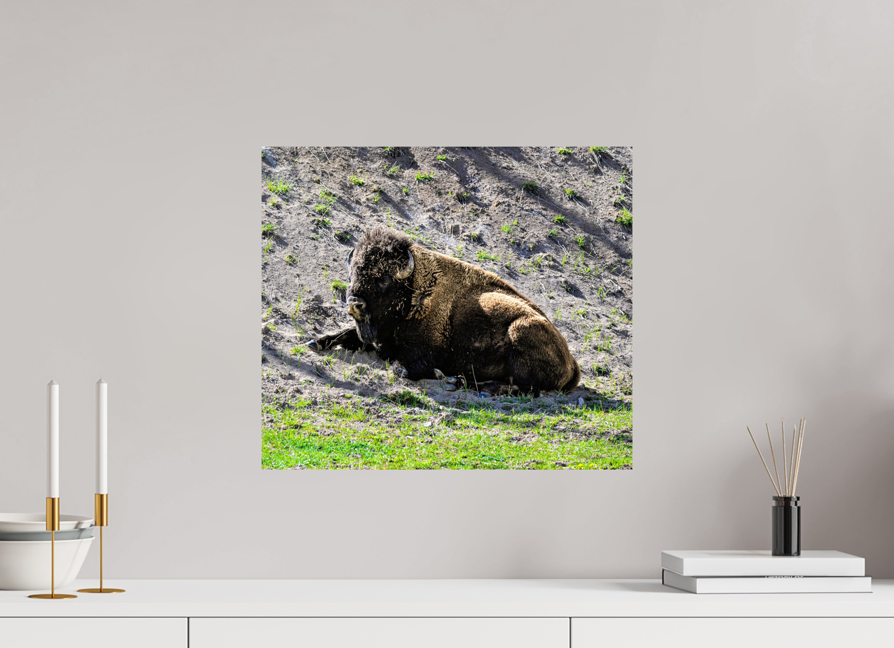 18.3 x 16″, METAL Bison Laying Down