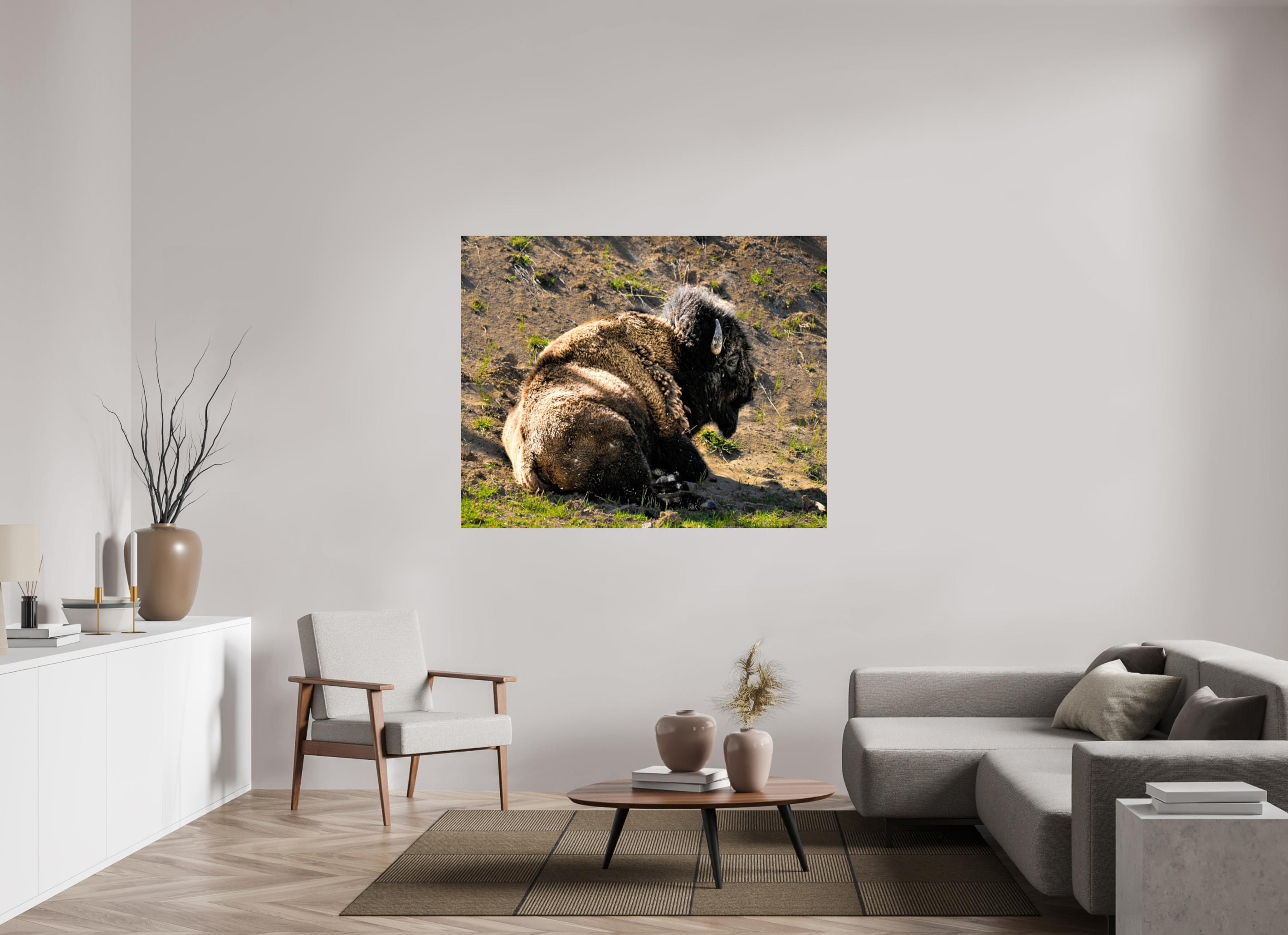 59 x 47″, PHOTO PAPER Bison Laying Down