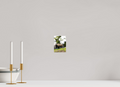 4 x 5.5″, PHOTO PAPER Bison with Steam