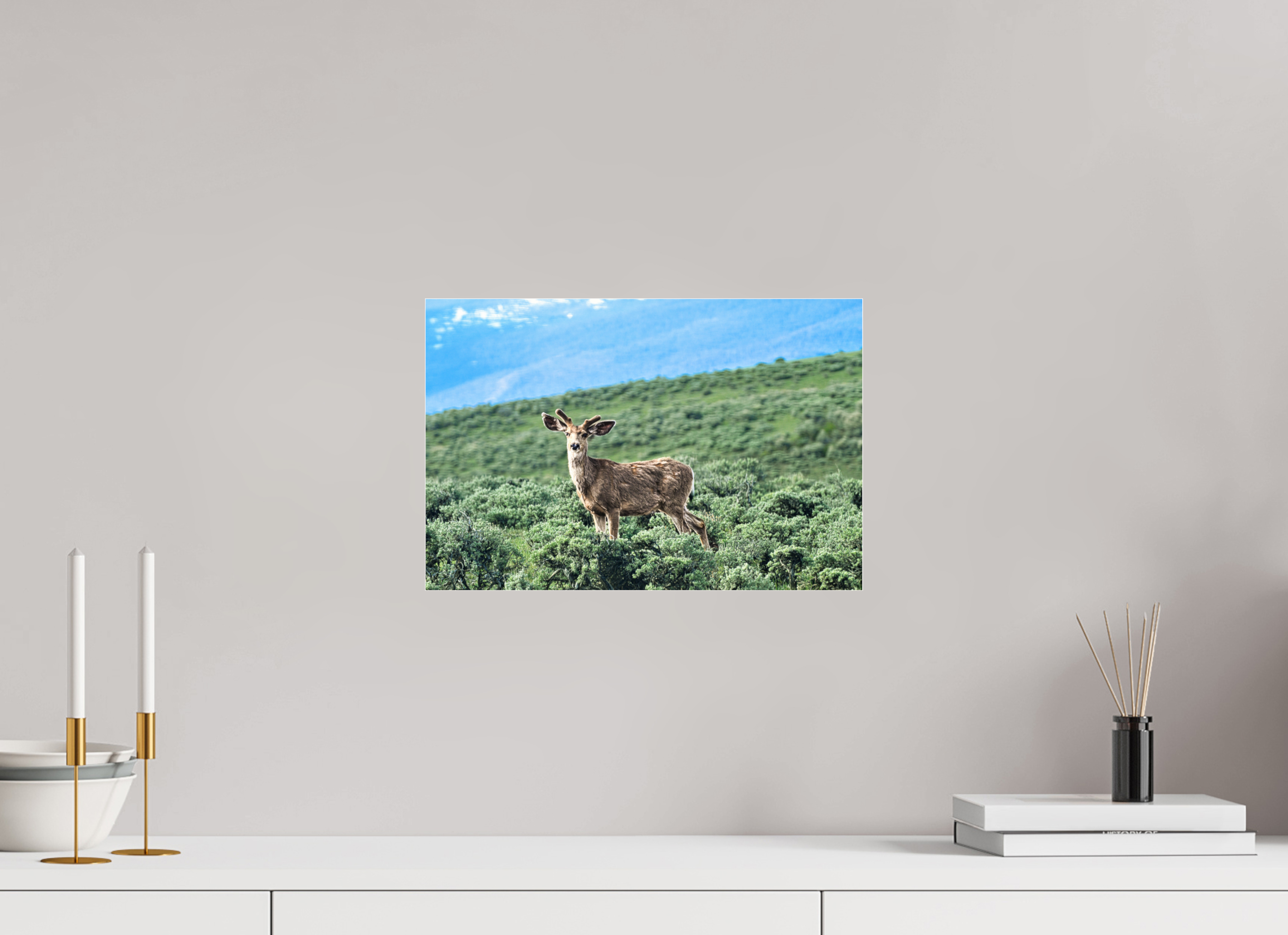 15 x 10″, ACRYLIC Deer