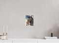 6 x 8″, PHOTO PAPER Pack Horse Portrait 1