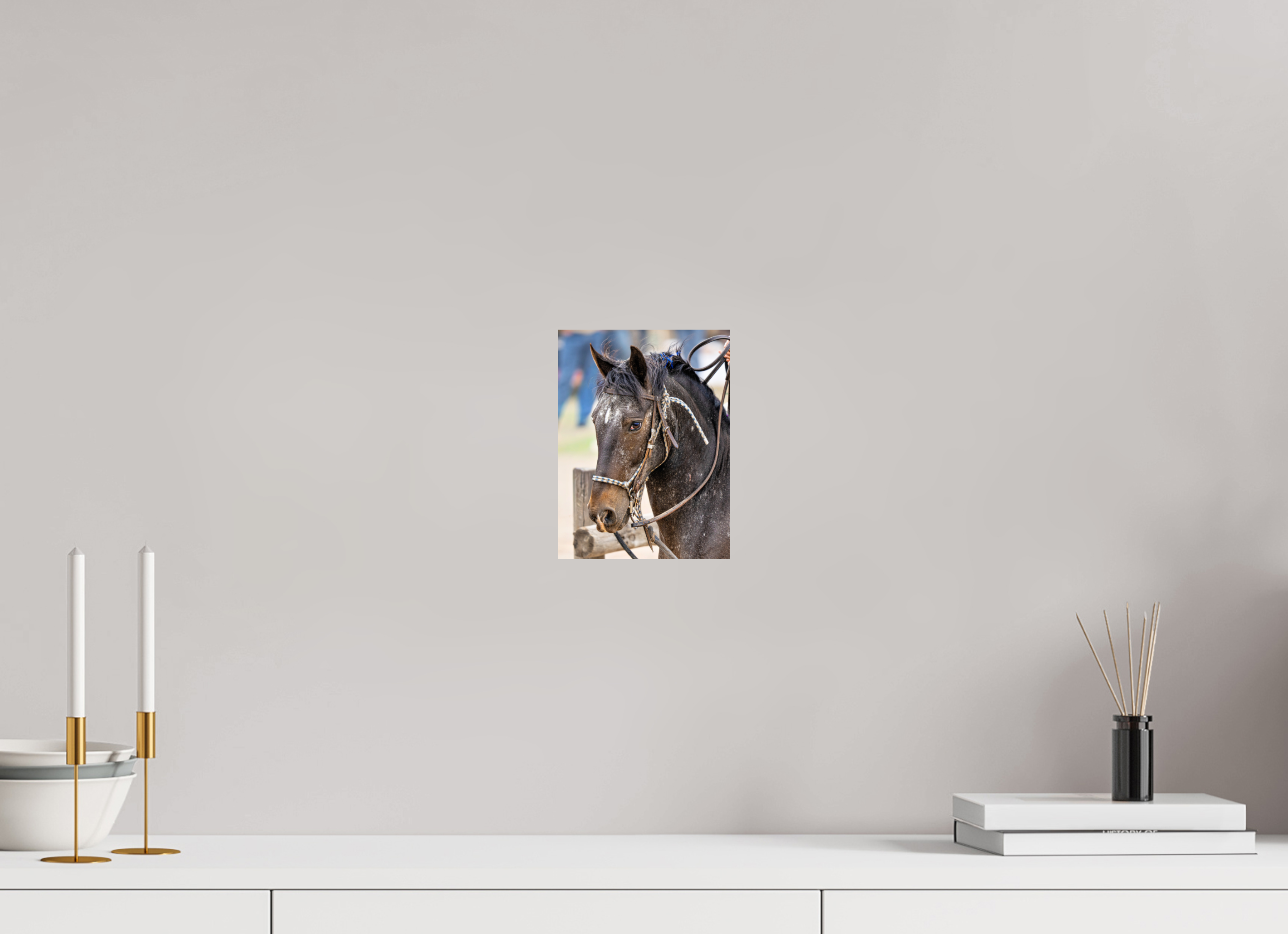 6 x 8″, PHOTO PAPER Pack Horse Portrait 1
