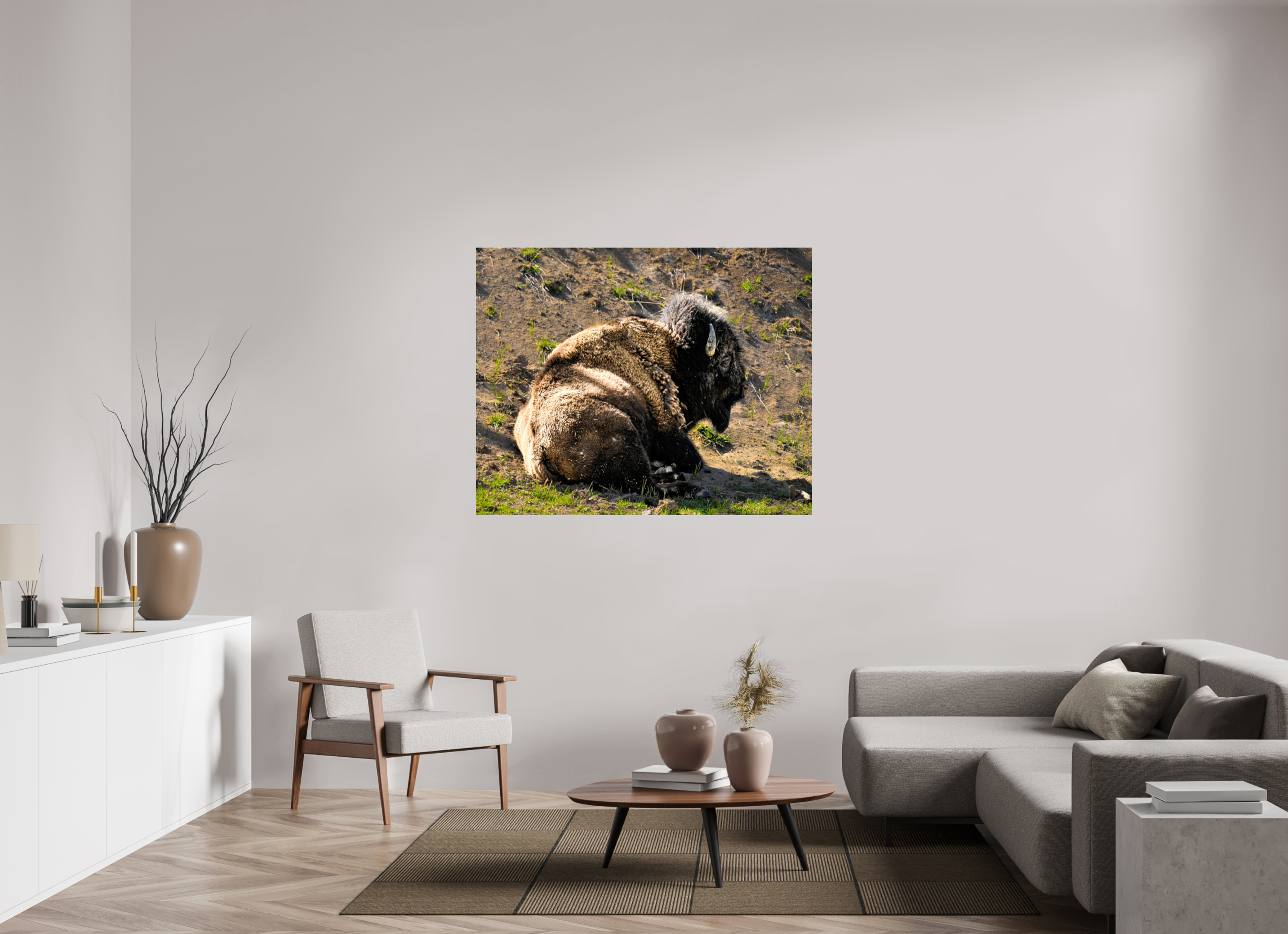 53.9 x 43″, ACRYLIC Bison Laying Down