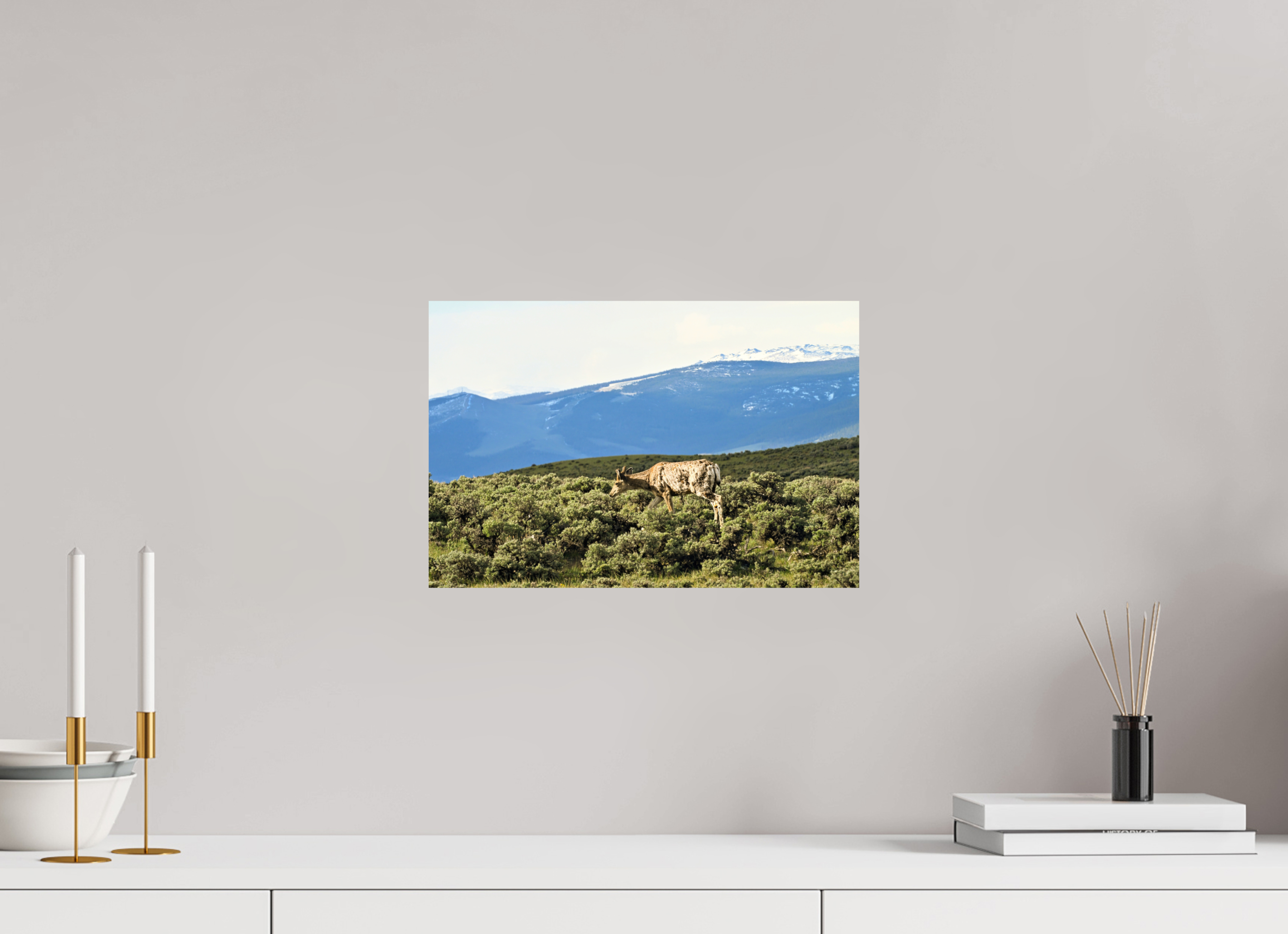 15 x 10″, PHOTO PAPER Deer