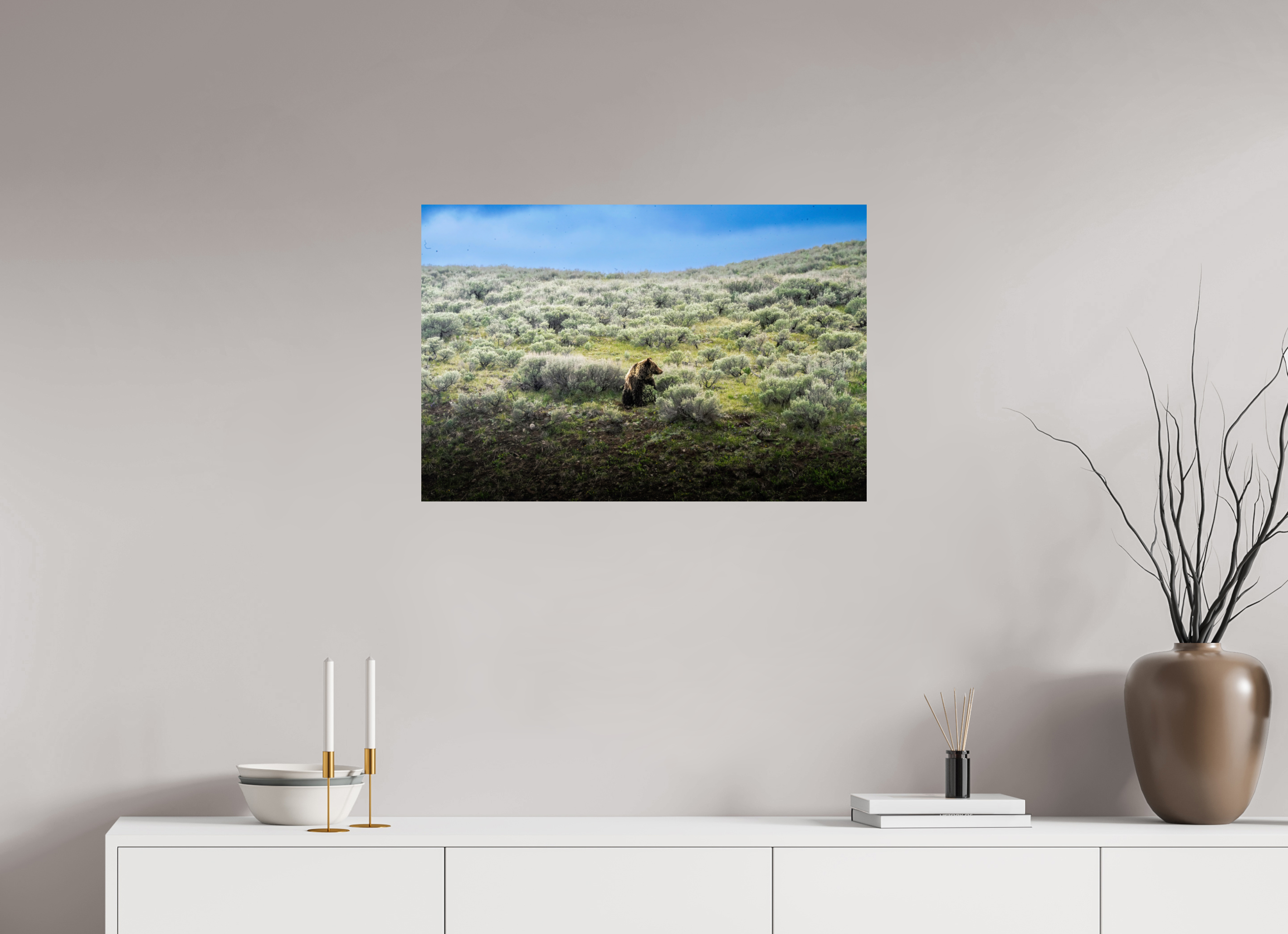 30 x 20″, METAL Bear