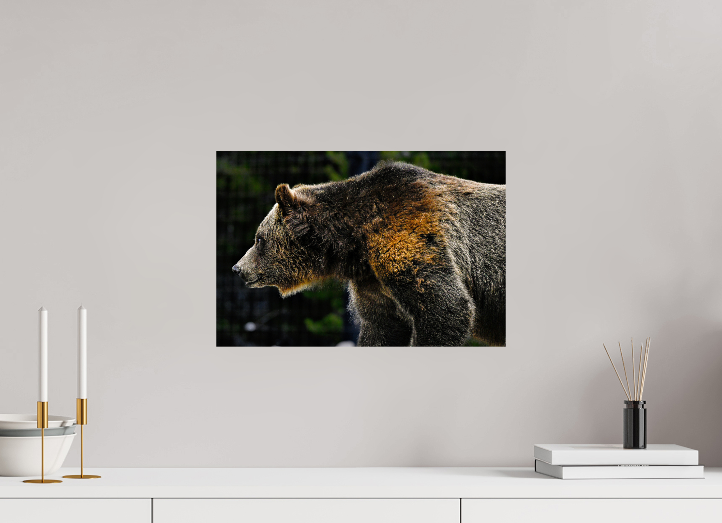 17.7 x 12″, METAL Bear