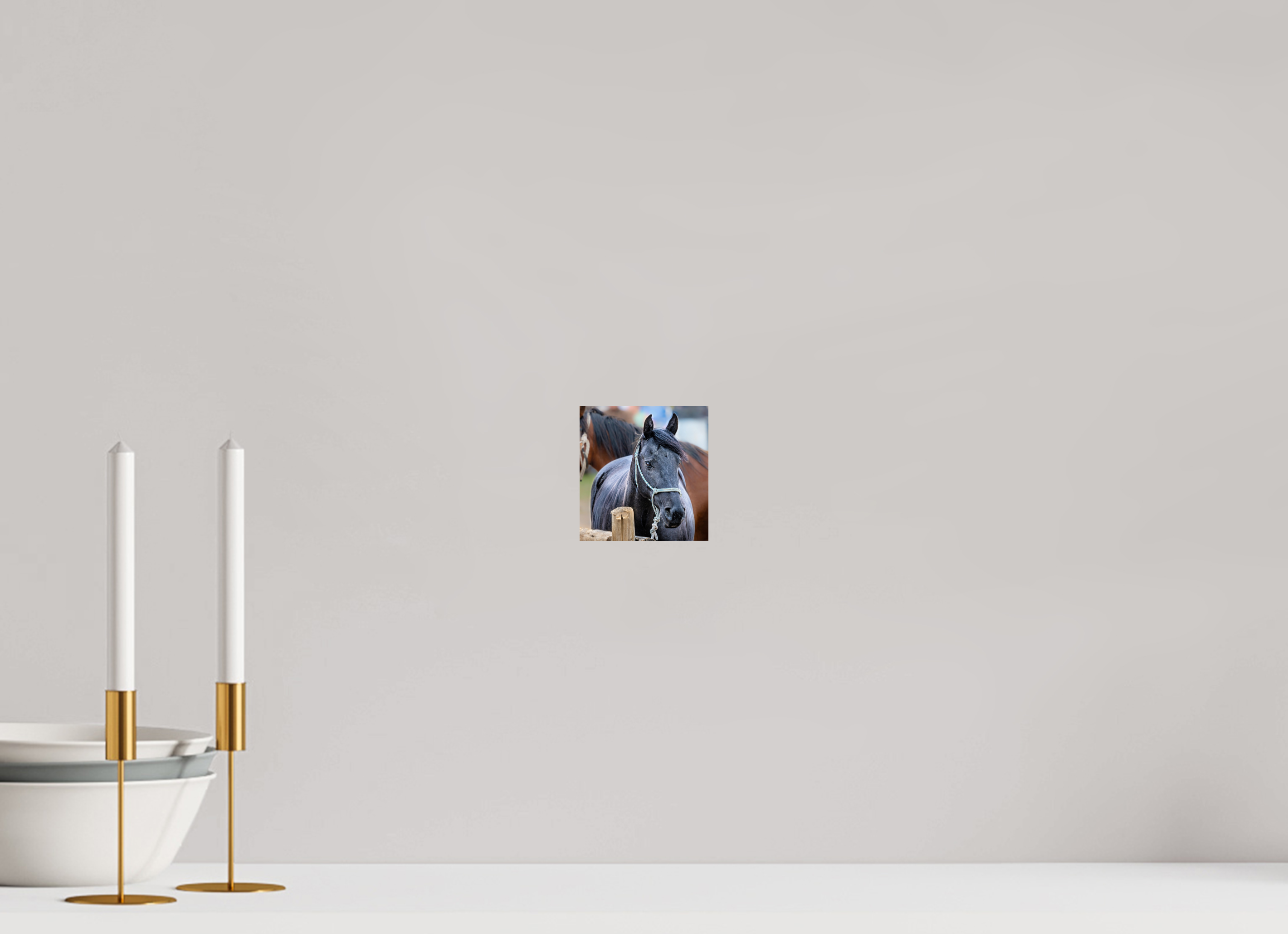 4 x 4.2″, PHOTO PAPER Pack Horse Portrait 8 Web Exclusive