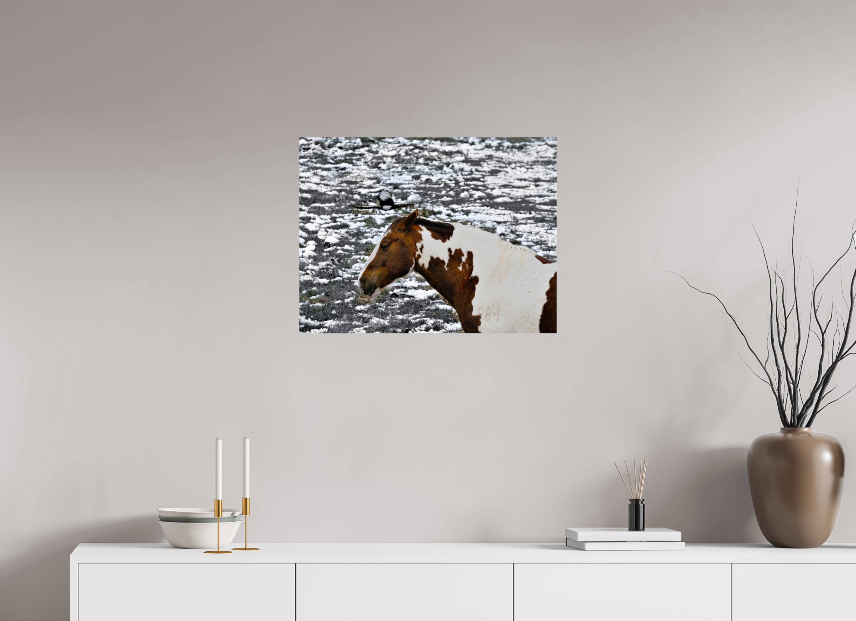 26.3 x 20″, PHOTO PAPER Paint Horse with Bird Flying Over