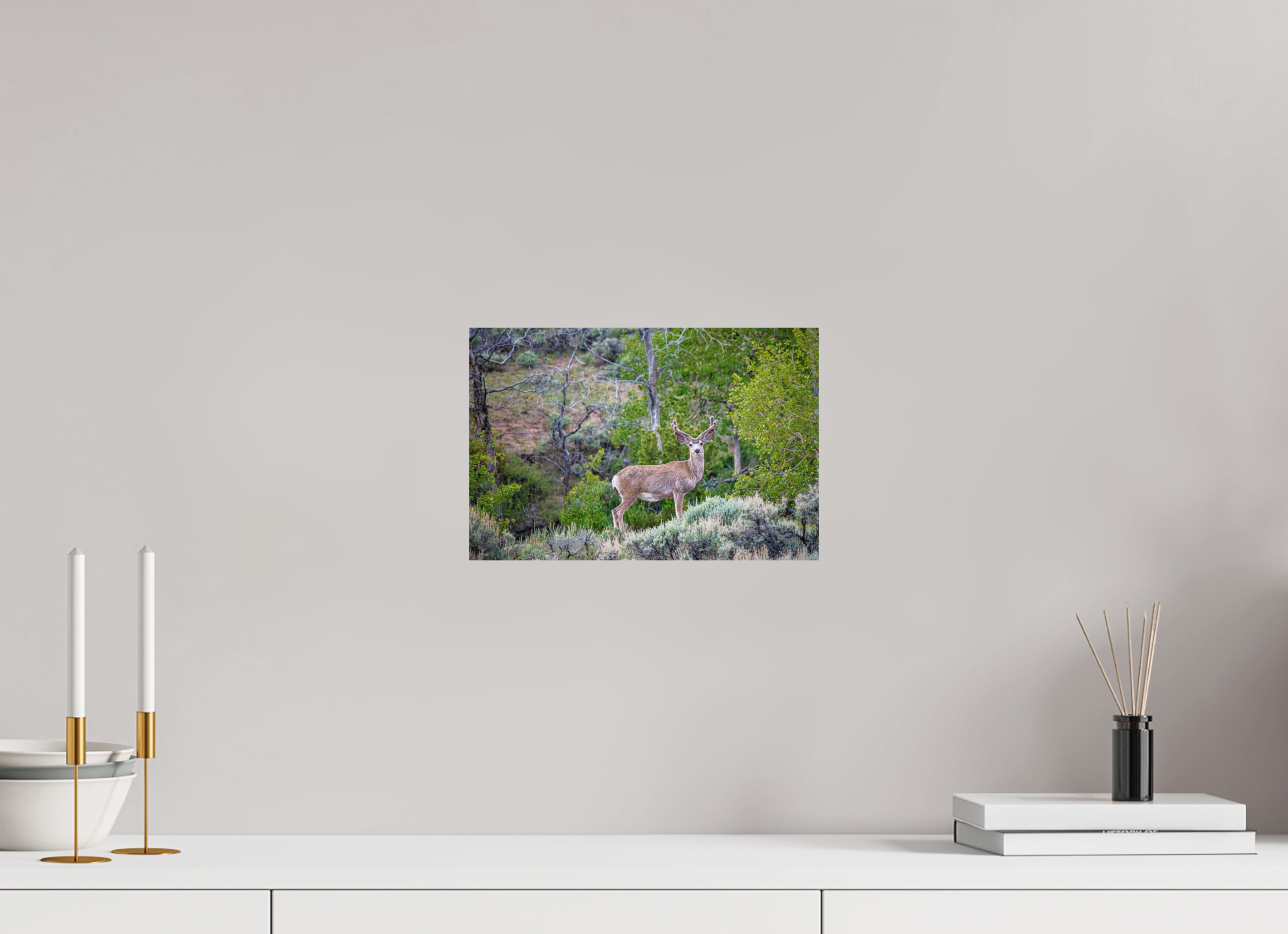 12 x 8″, METAL Deer